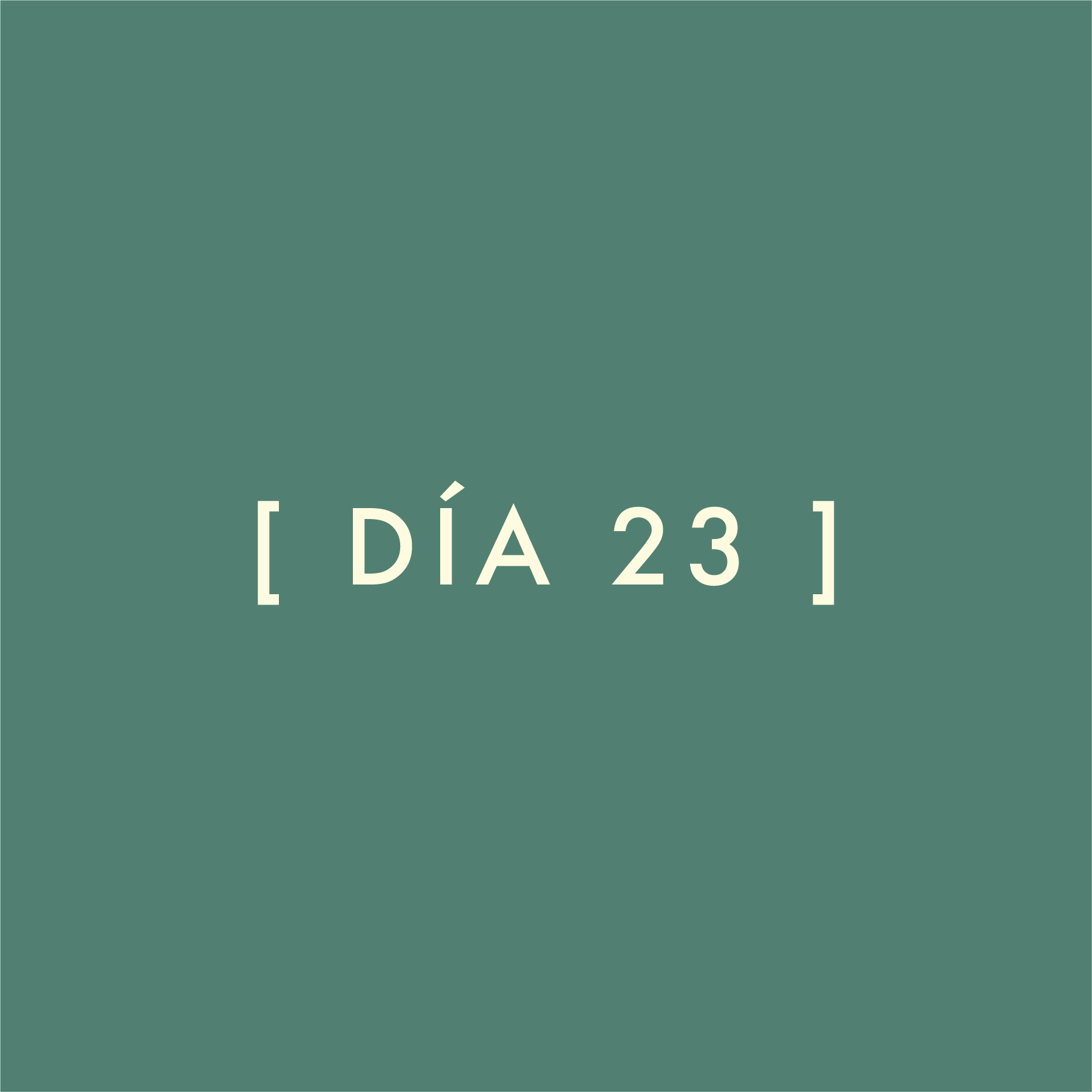 Día 23