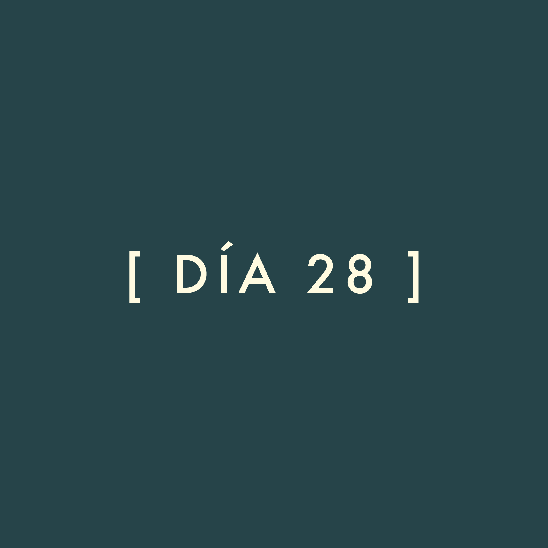 Día 28