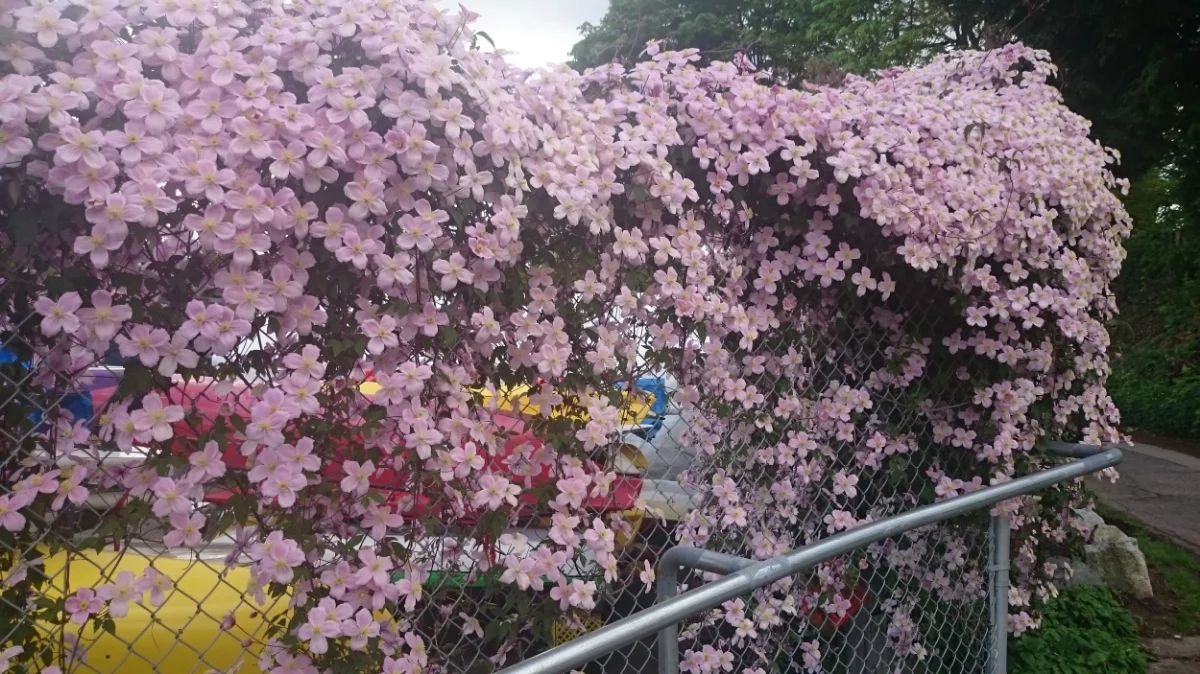 Welcome, Bienvenue, Aloha etc...