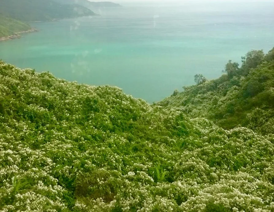 Where There's A Will, There's A Hue