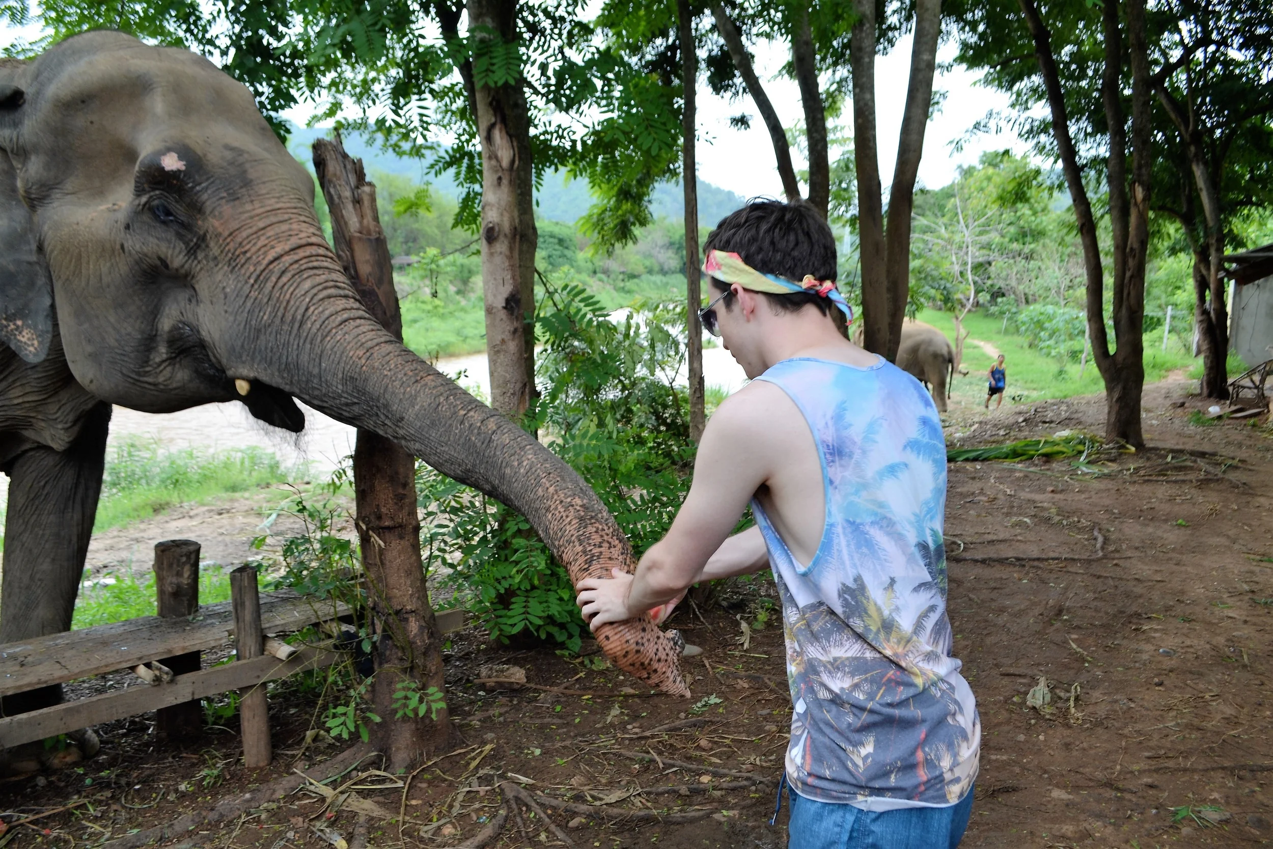 ERMIGAWD ELIPHENTS - Dawn of the Final Day 24 Hours Remain