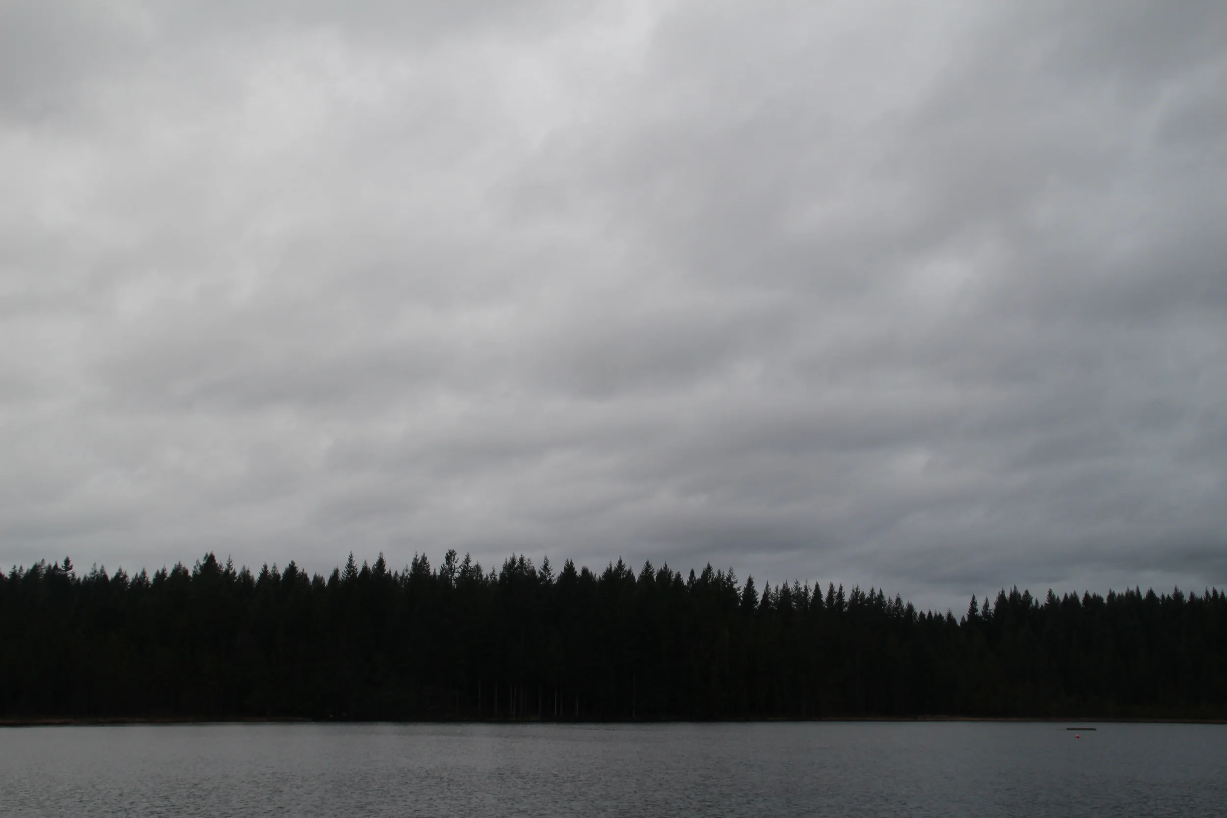 My Ex(s) Know I Exist