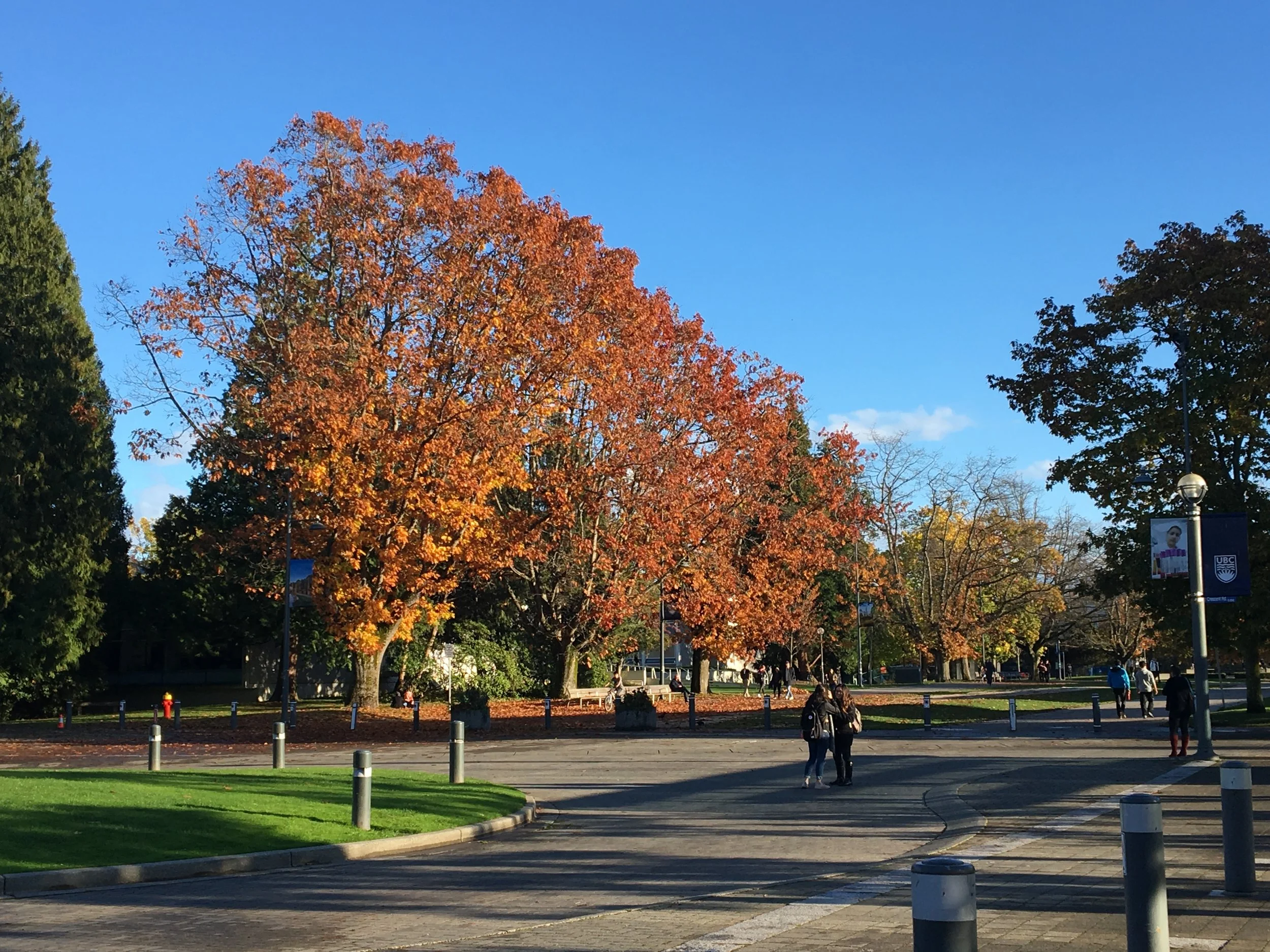 The Shadow Hanging Over Me - How It Comes and Goes