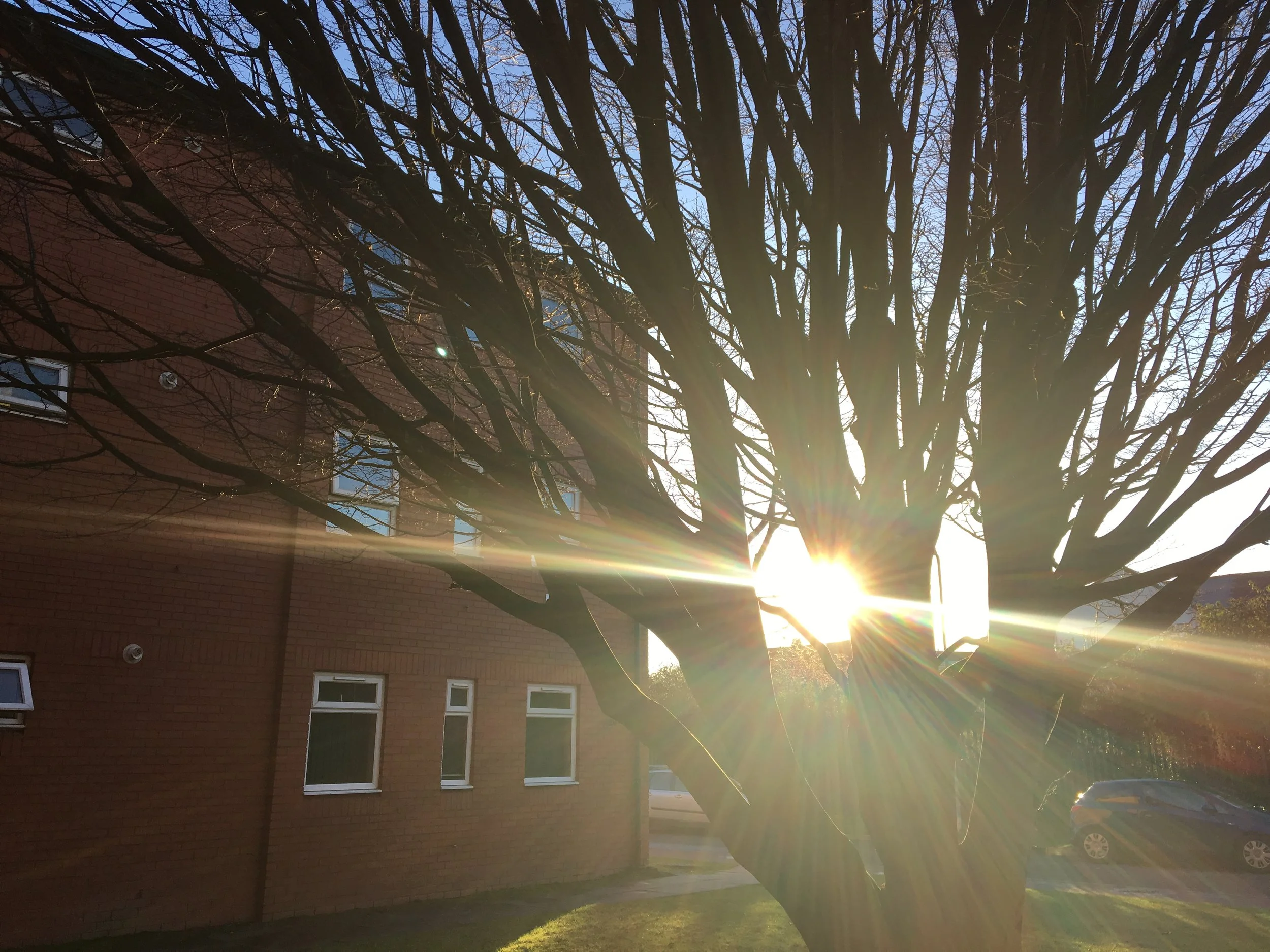 The City of Gays and Surprises