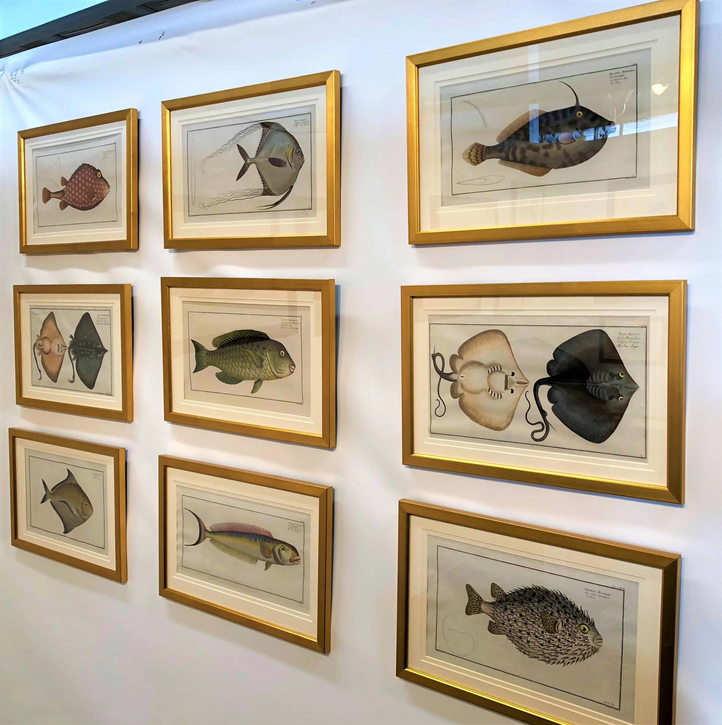 Anne Hall Antique Prints.jpeg