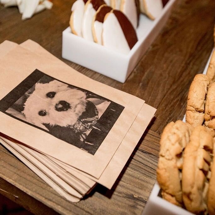 Doggie bag, anyone? We loved this to-go treat featuring our couple's adorable pup! Delish cookies of course from The Butter End!
.
.
Photo: @katiebeverleyphoto 
Venue: @hotelcasadelmar 
Cookies: @thebutterend 
Florals: @lilla_bello 
.
.
.
.
#doggie #