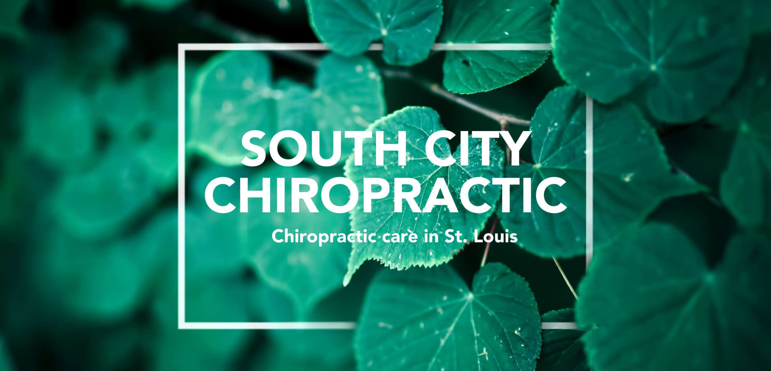 South City Chiropractic Clinic