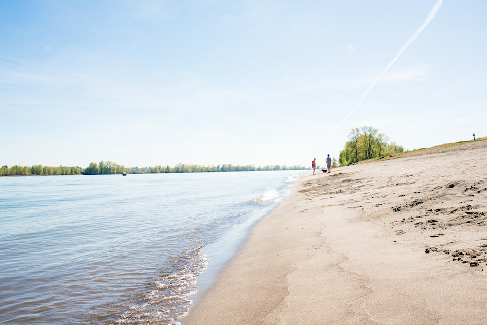 The Calm & Wild of Sauvie's Island