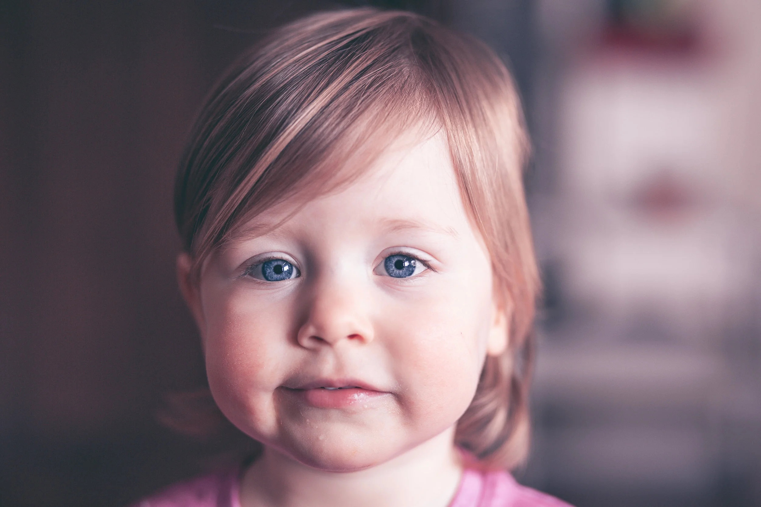 Toddler Portrait