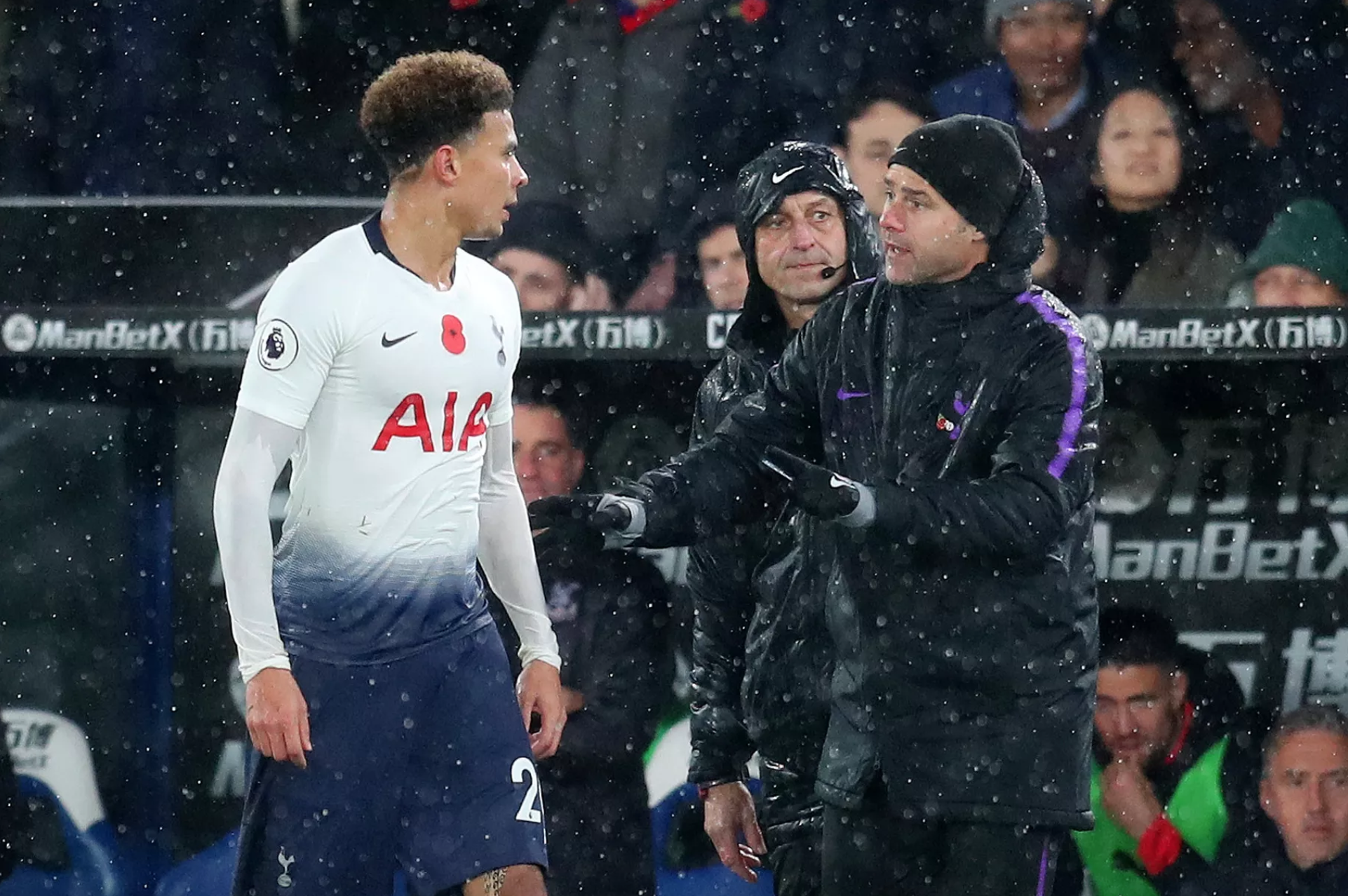 It's still story time with Harry Redknapp | The Hoddle of Coffee: Tottenham Hotspur news and links for Thursday, November 22