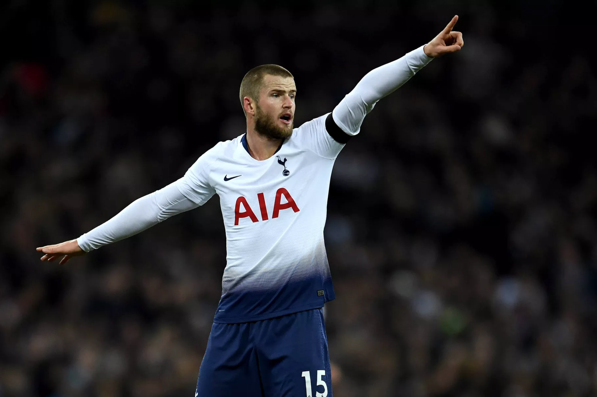 Harry Redknapp learns to play the game | The Hoddle of Coffee: Tottenham Hotspur news and links for Monday, November 26
