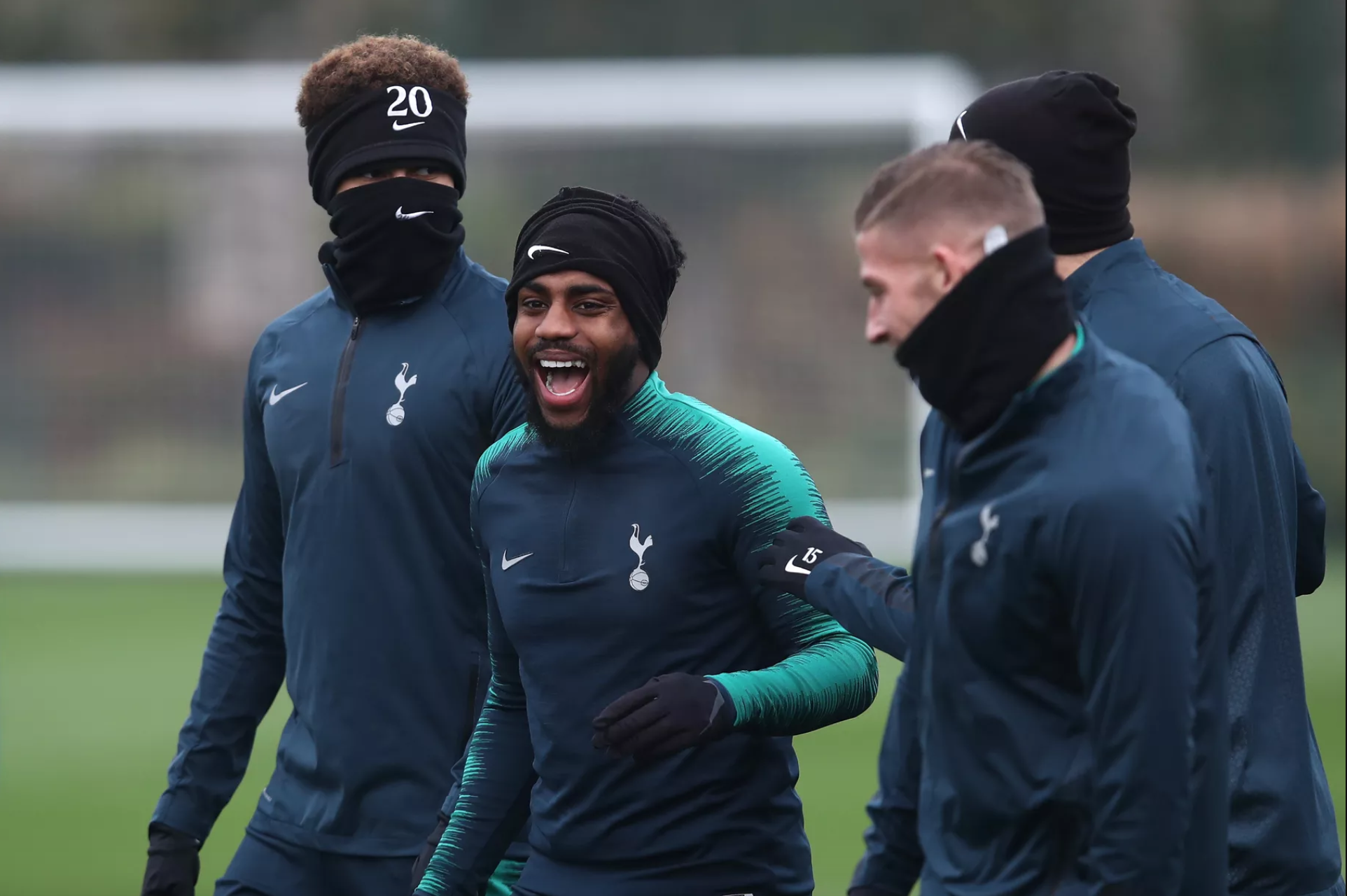 What a day in the jungle for Harry Redknapp | The Hoddle of Coffee: Tottenham Hotspur news and links for Wednesday, November 28