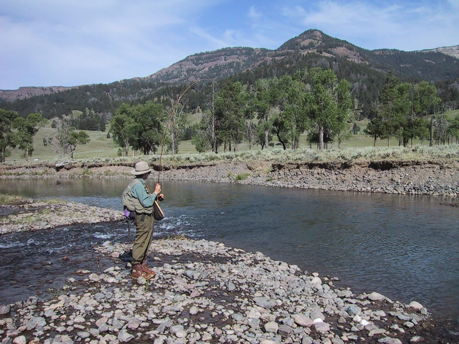 Diane works one over at one of our favorite pools on Soda Butte Creek. 7’6” 5 wgt progressive rod.
