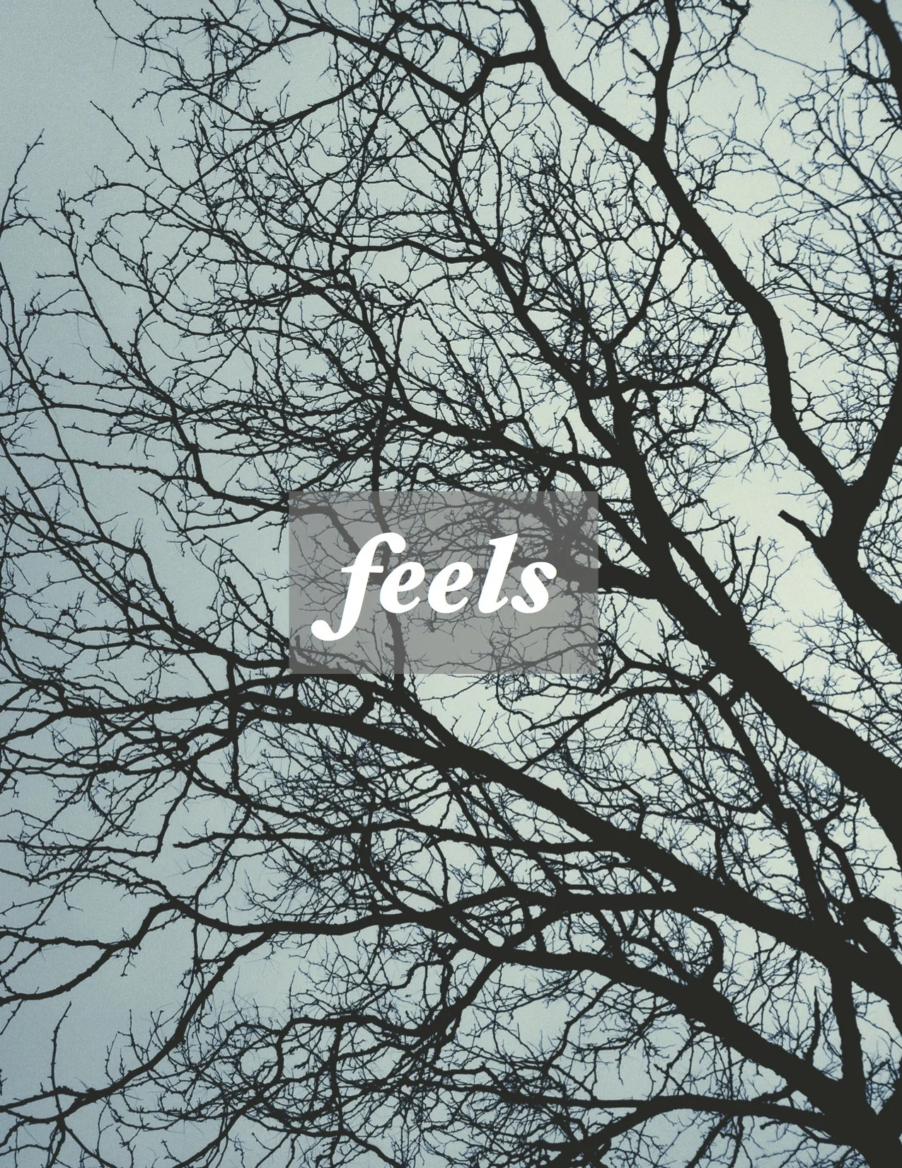 Feels