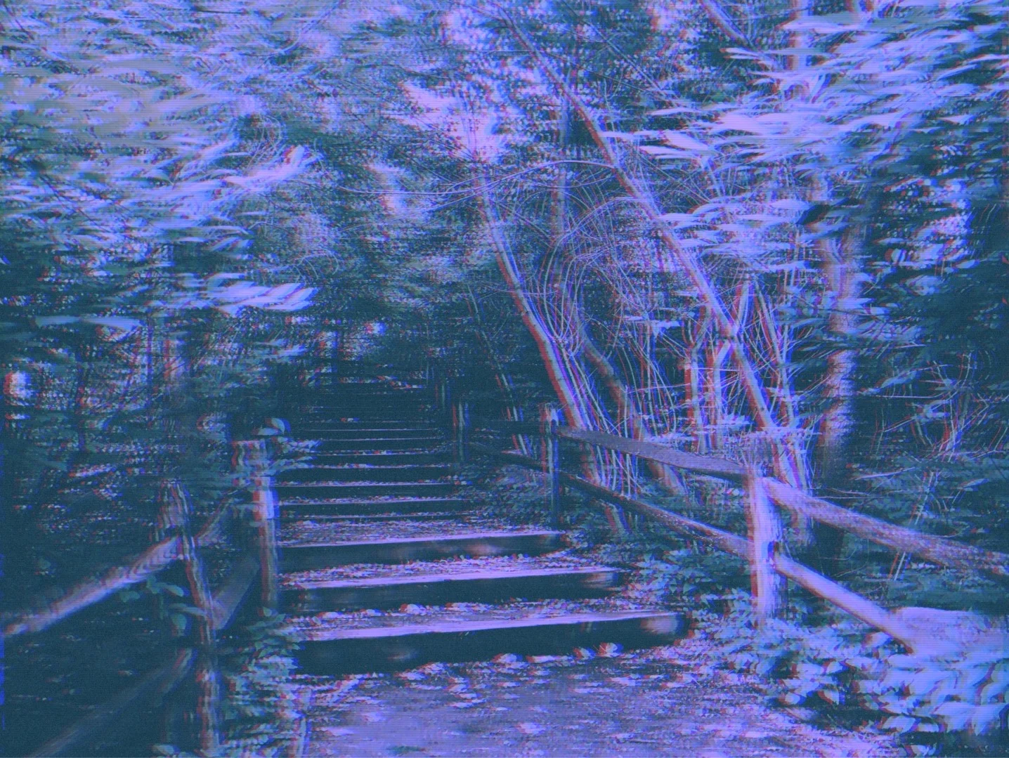 path.jpg