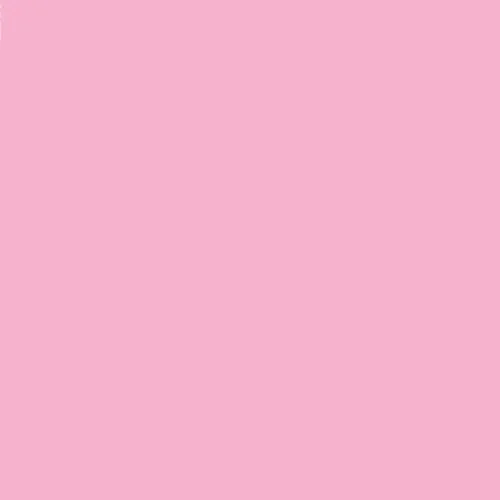 BABY PINK 1.JPG