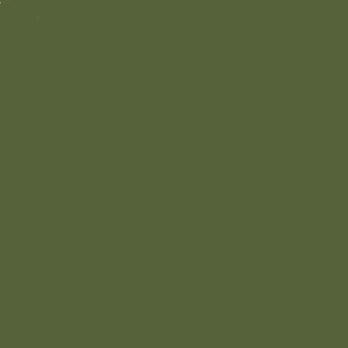 KHAKI GREEN 1.JPG