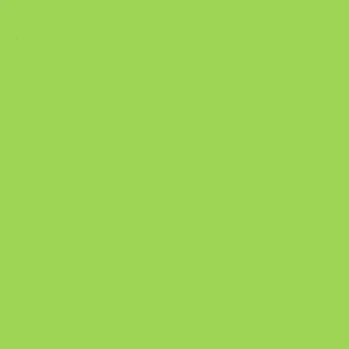 LIME GREEN 1.JPG