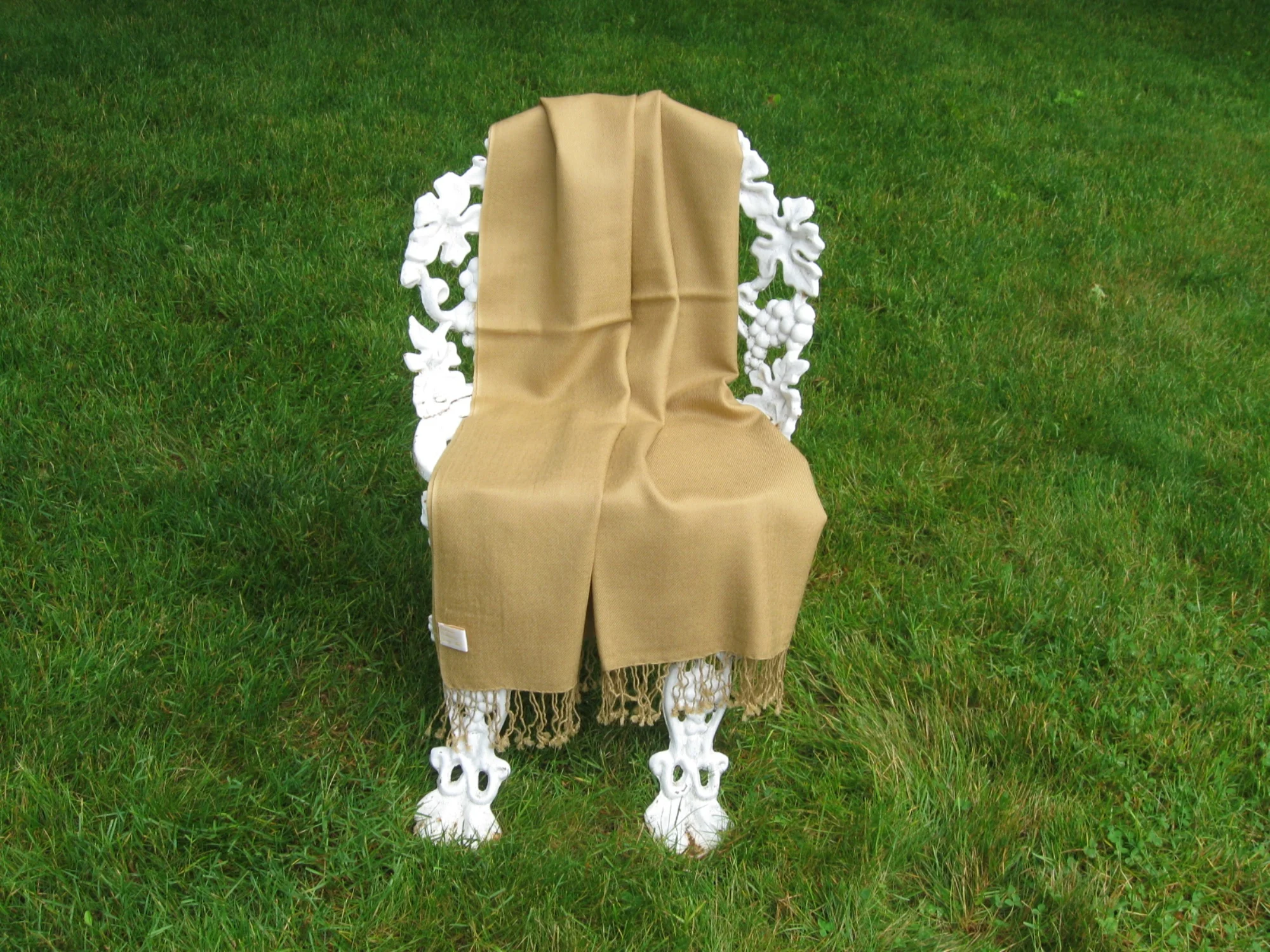 23GoldenCamel1.jpg