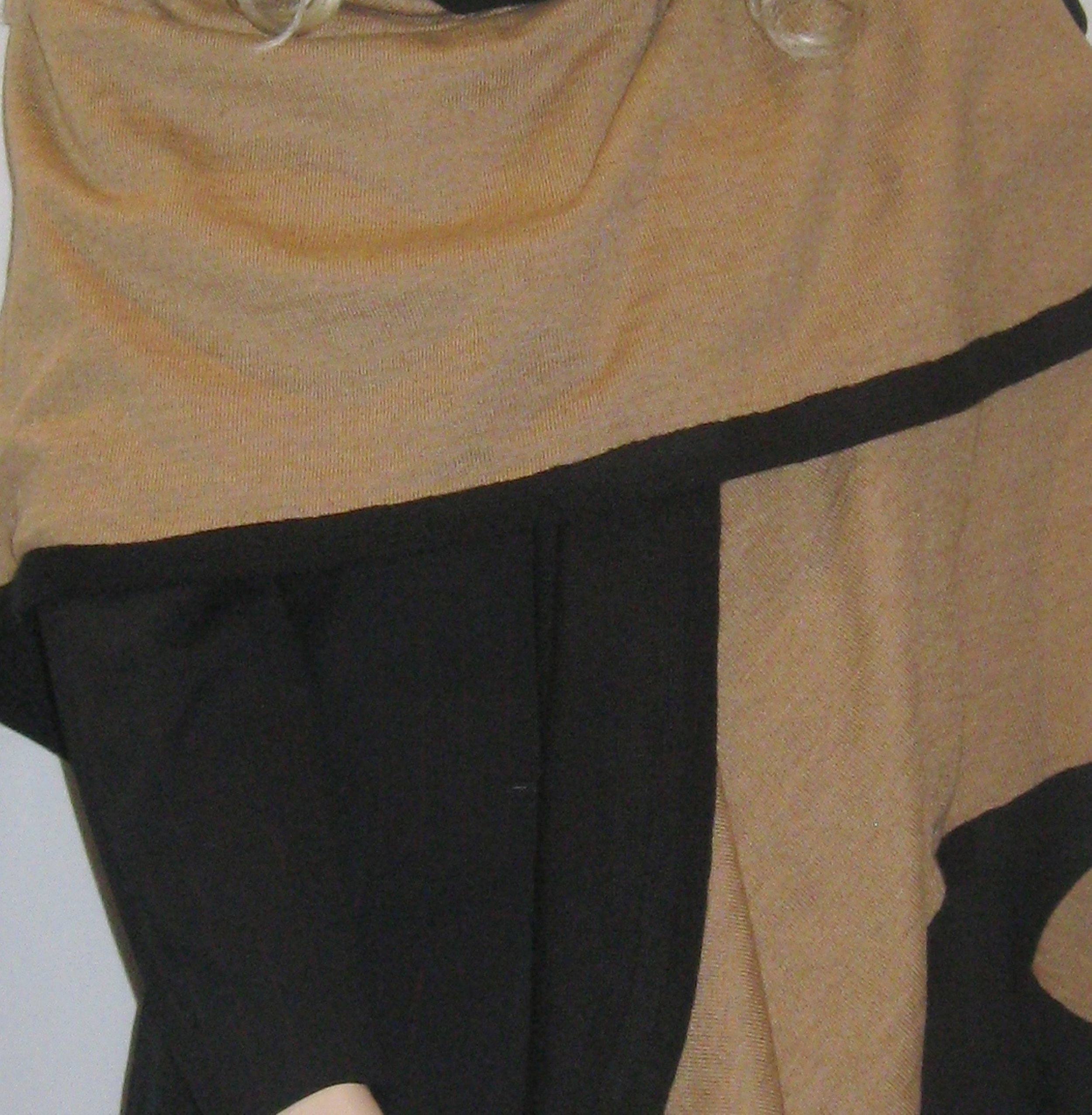 BLACK AND CAMEL 9A.JPG