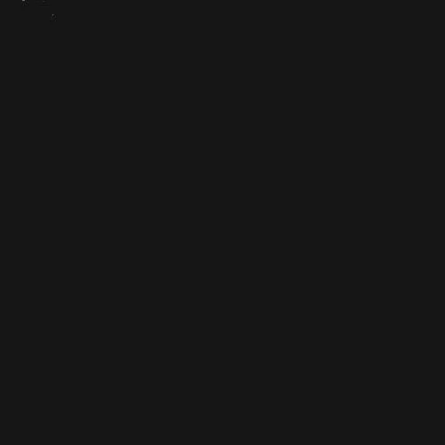 Black 9.JPG