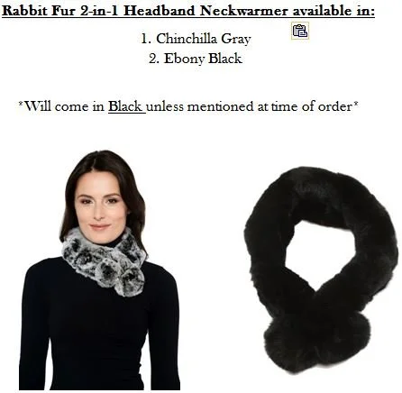 RX10 Put Together.JPG