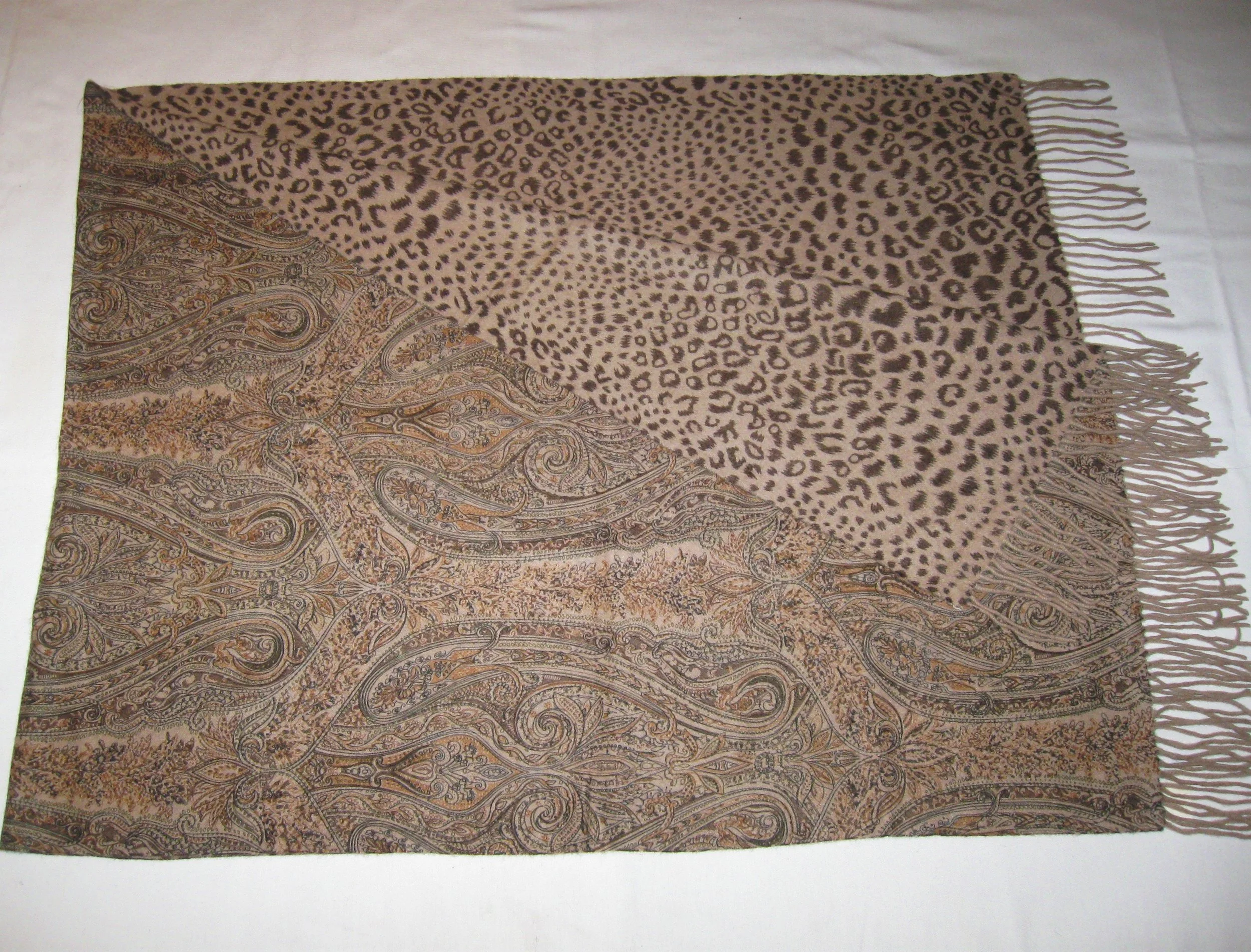 MS25 Rev print-Camel 12.JPG