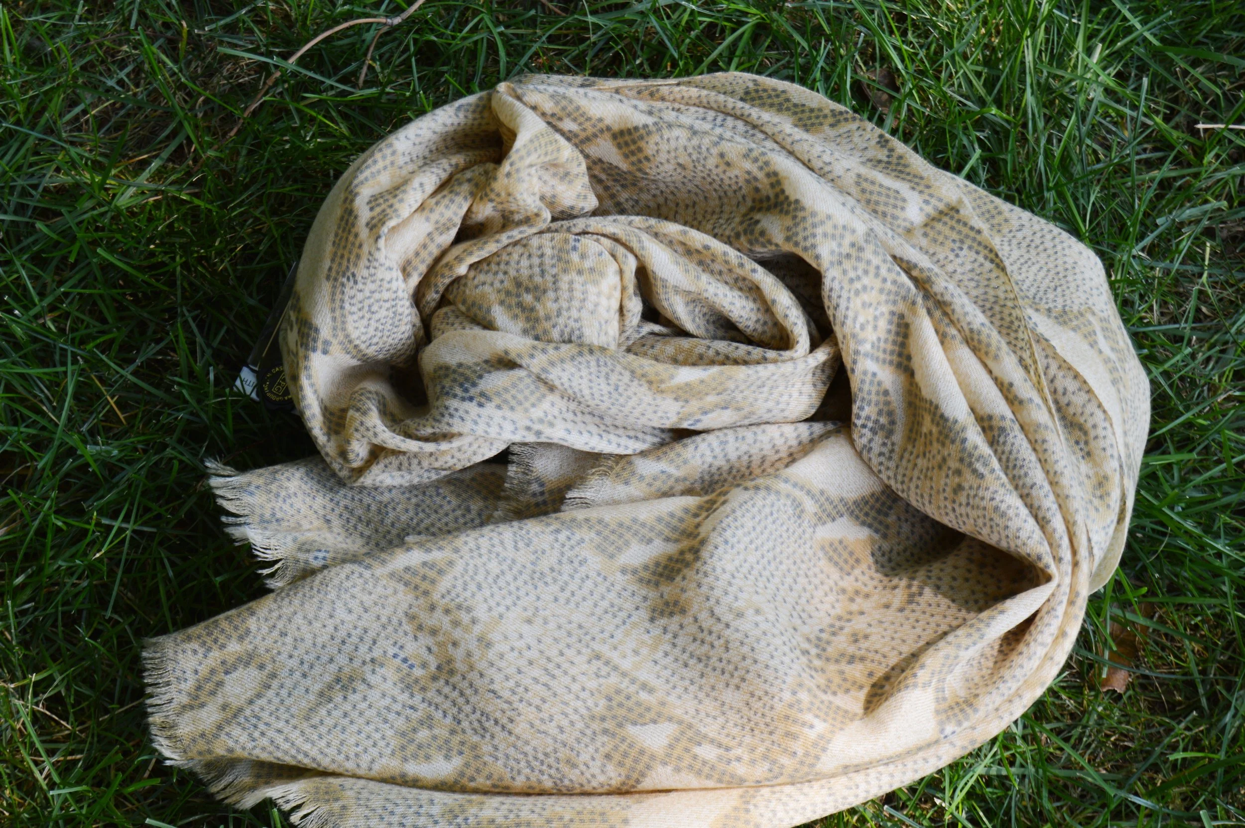 A13 -Python Print 21.JPG