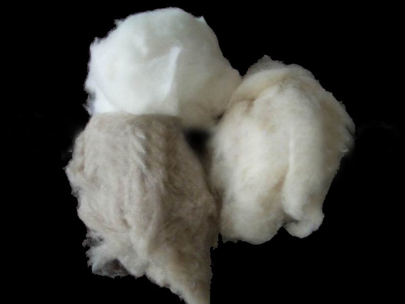 cashmere fibres.jpg