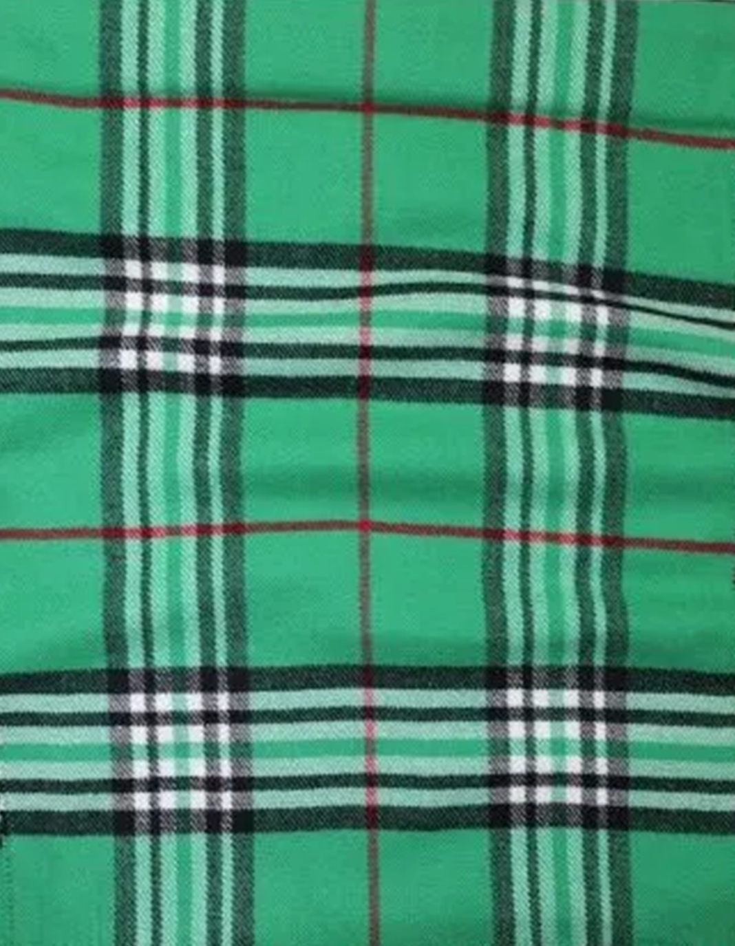 Green 2A.jpg