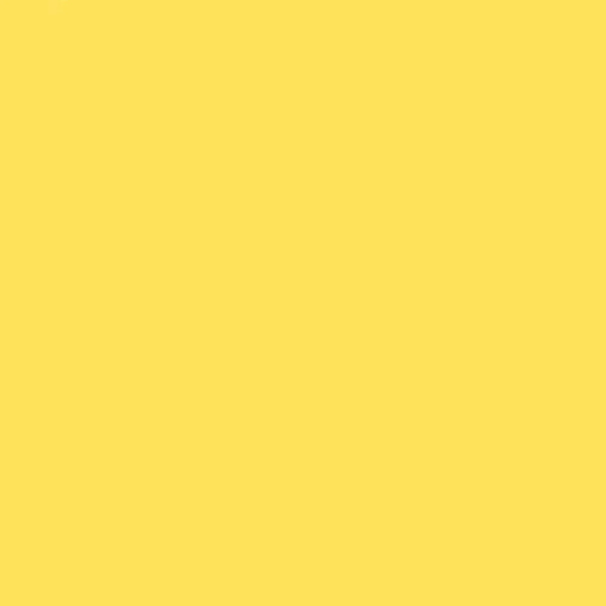 5Marigold Yellow 28.JPG