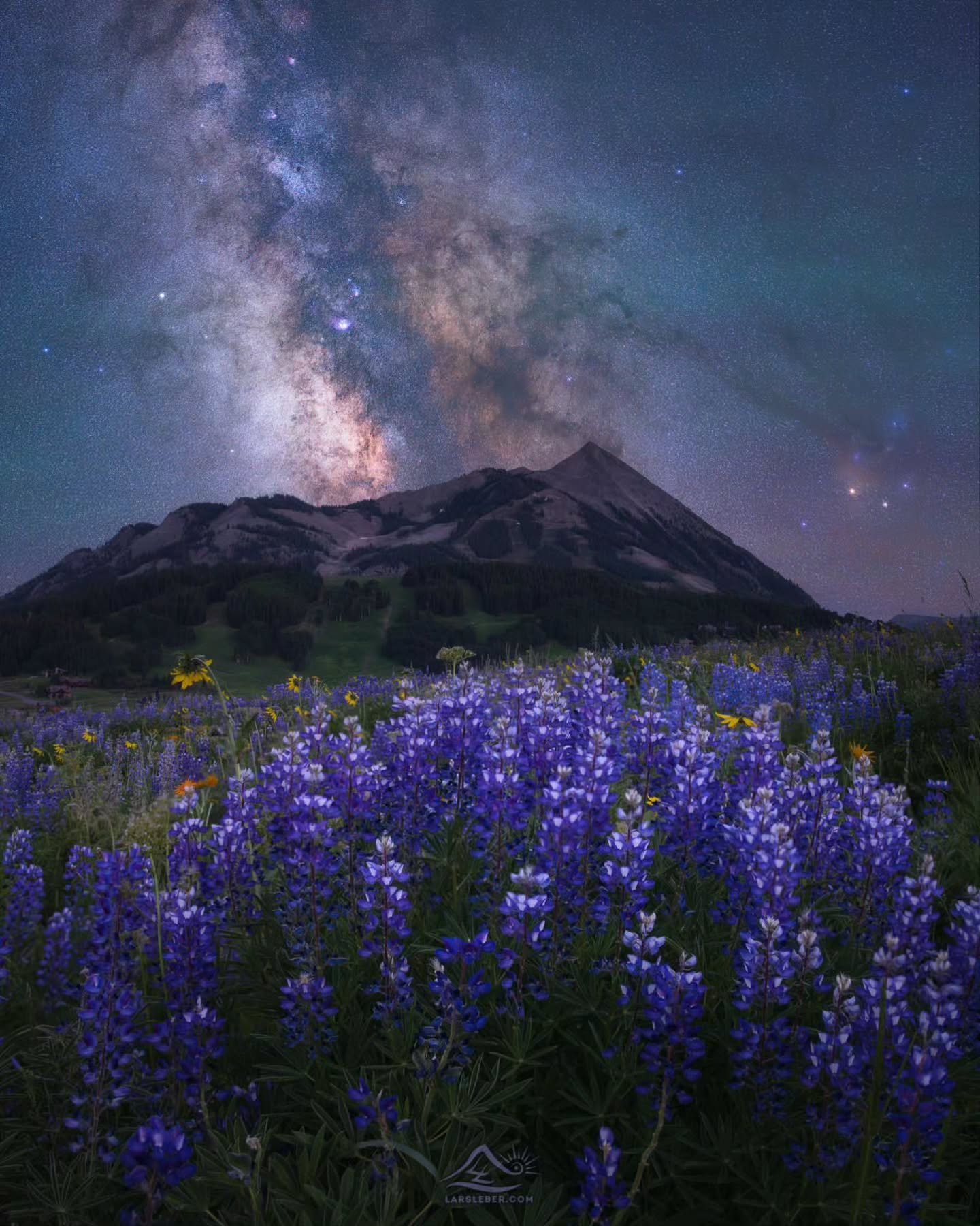 &bull; @larsleberphotography Crested Butte, Colorado 

#colorado #milkyway #nightsky #crestedbutte #mountcrestedbutte #wildflowers #wildflowerfestival #lupine #lupines