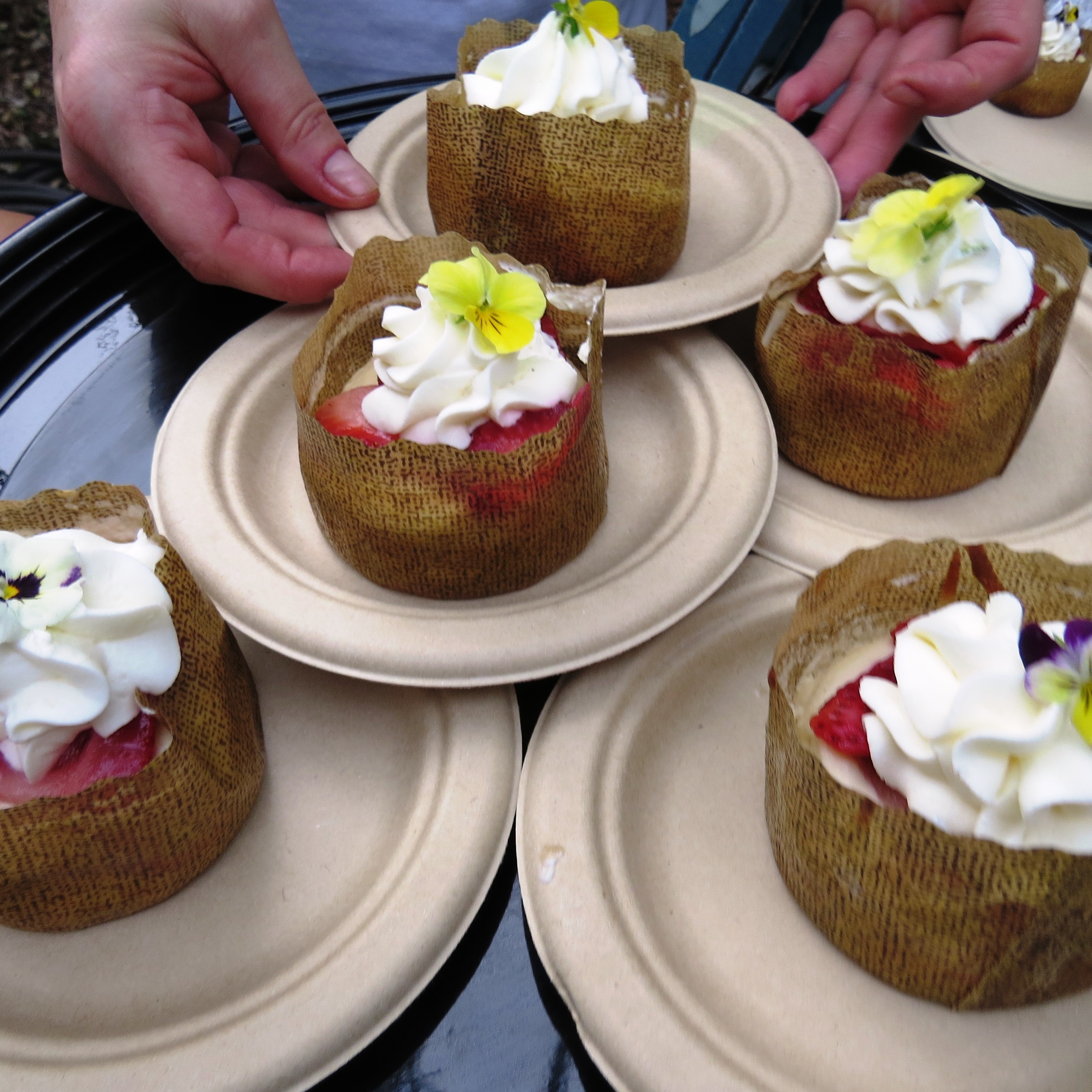 Edible Flowers!