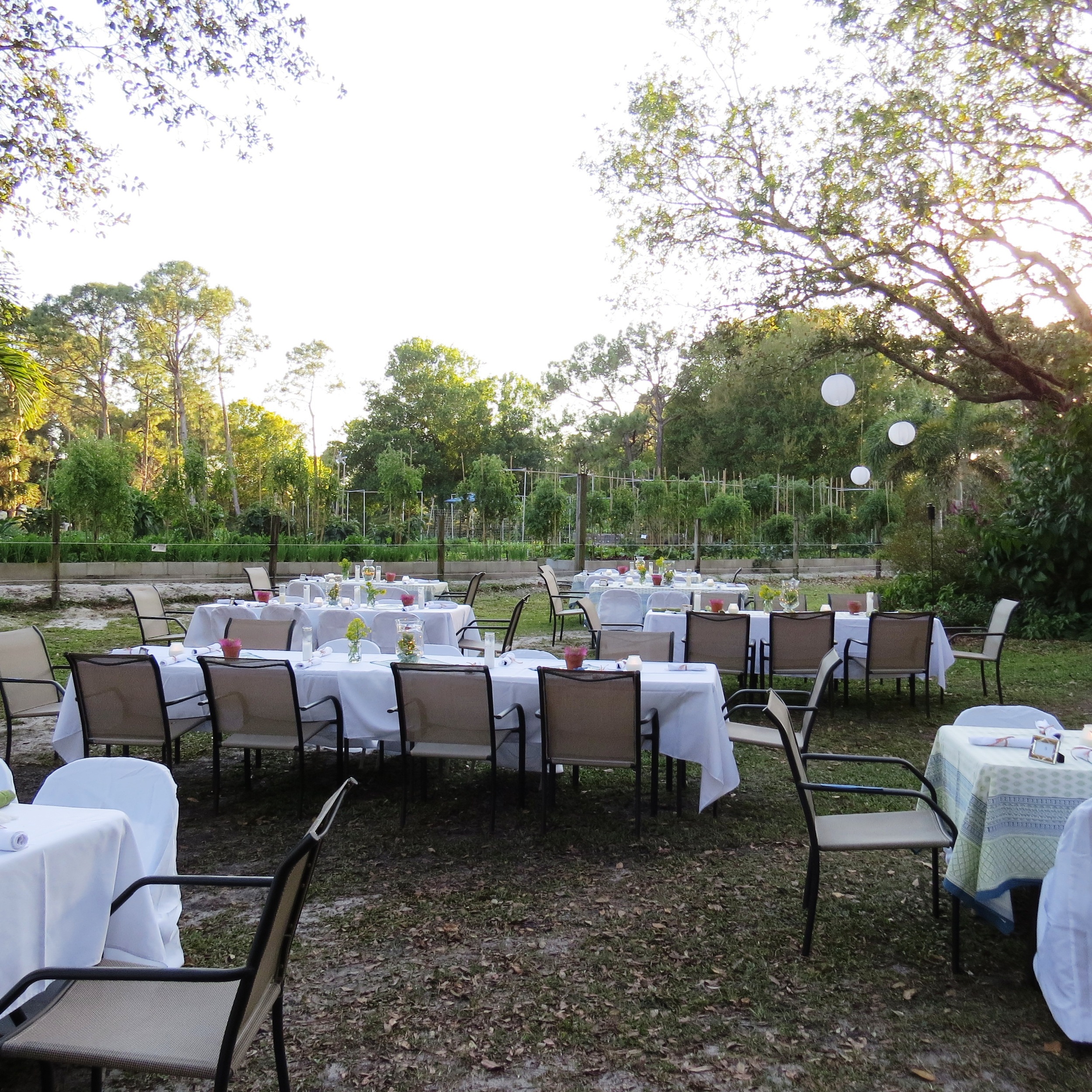 Open Air Dining