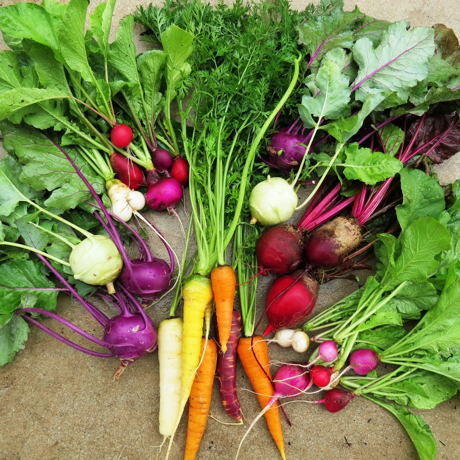 Learn to grow beautiful food at Shadowood!