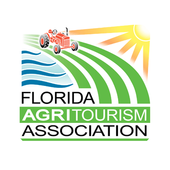 logo-2.png