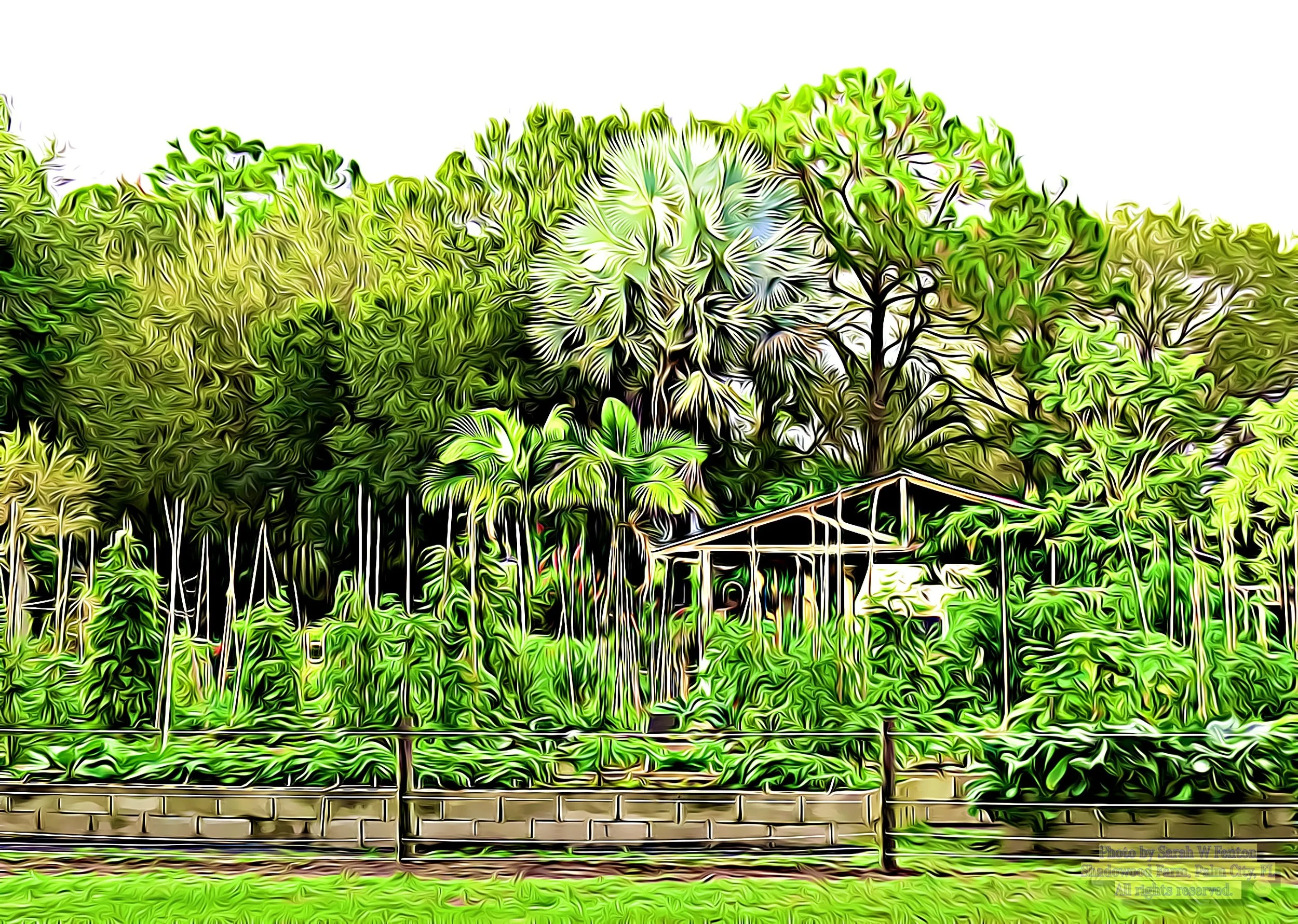 Our History — Shadowood Farm