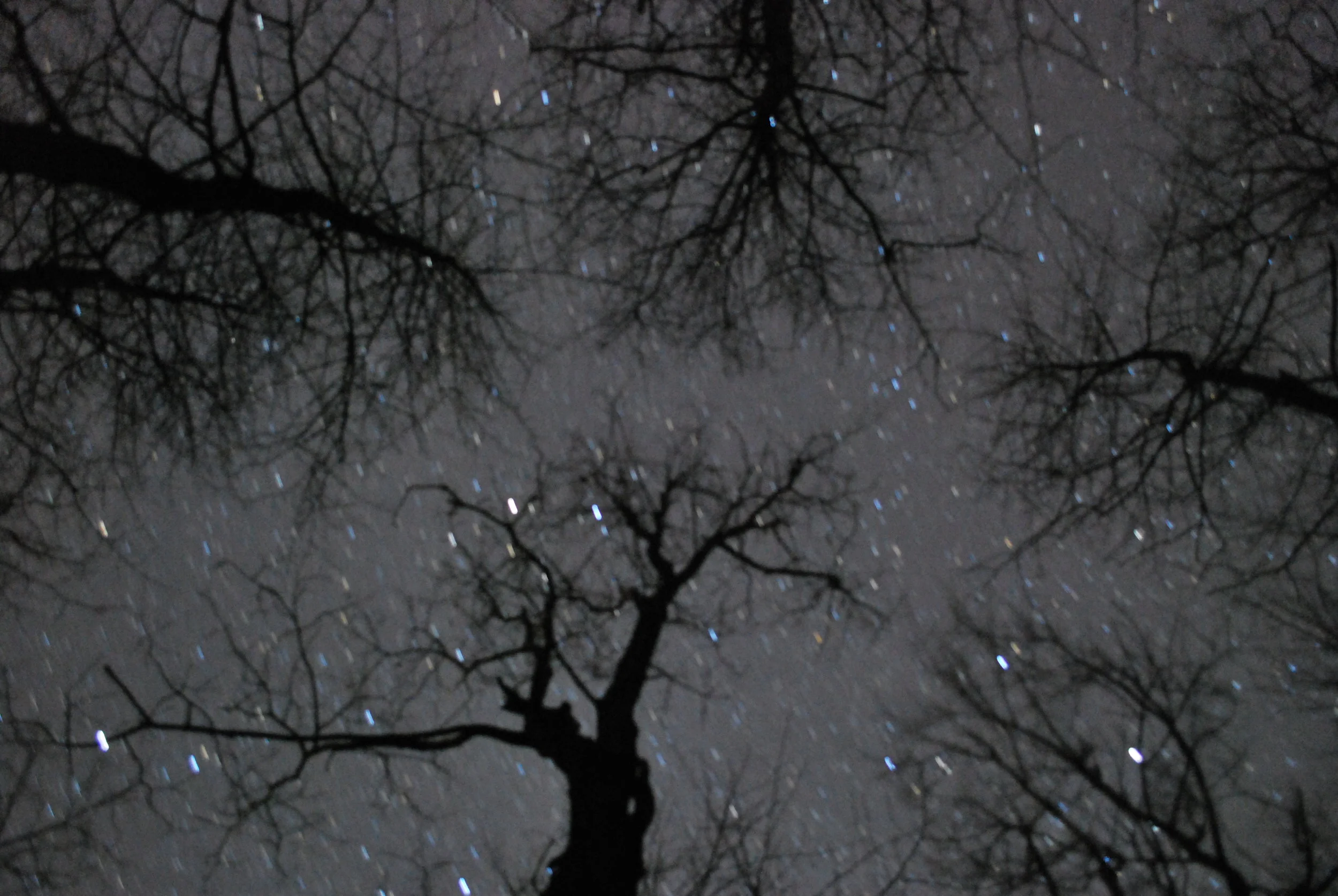 Image by Jeff Edwards