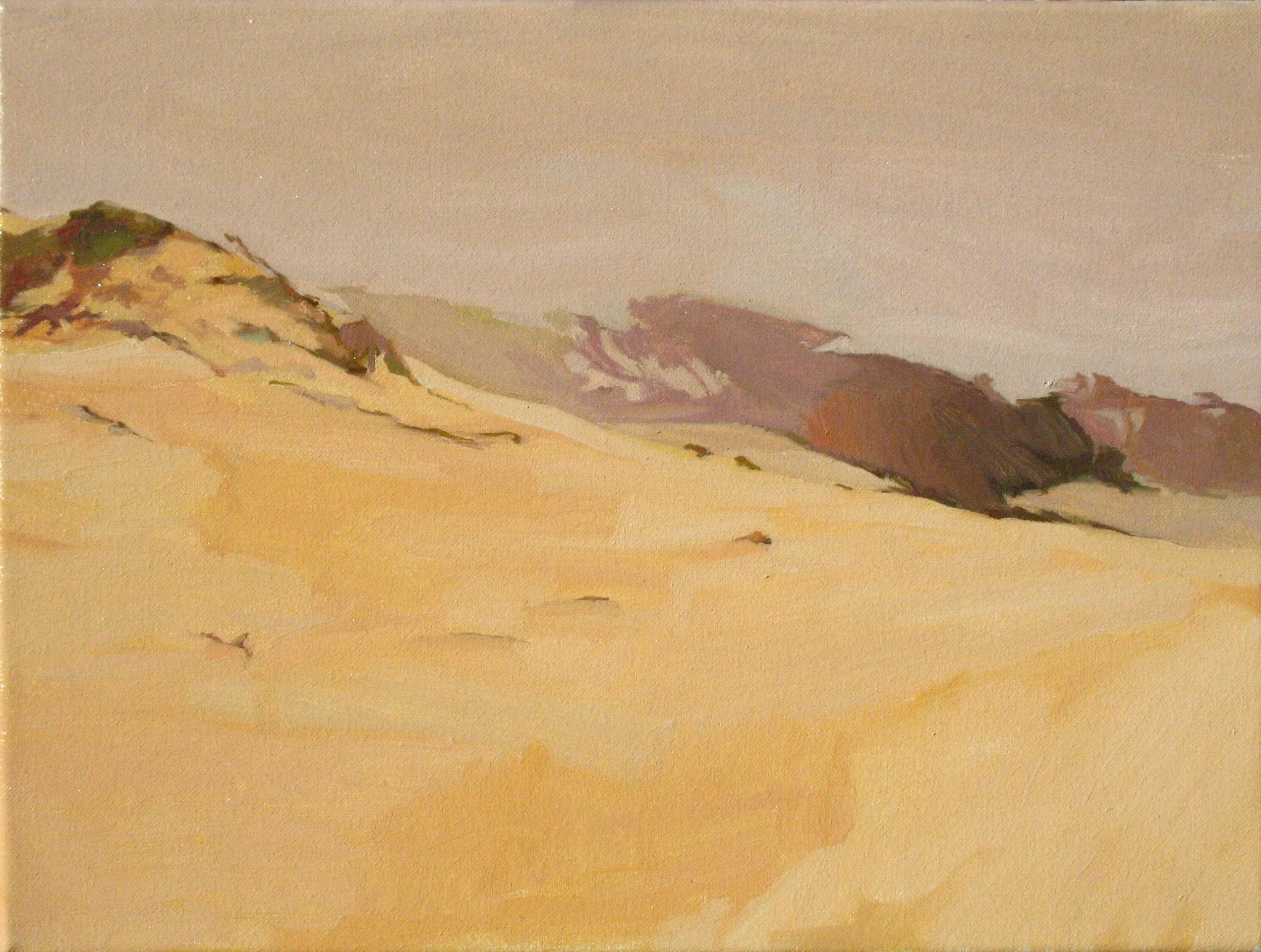12 x16 06 14 12 misty dune.jpg