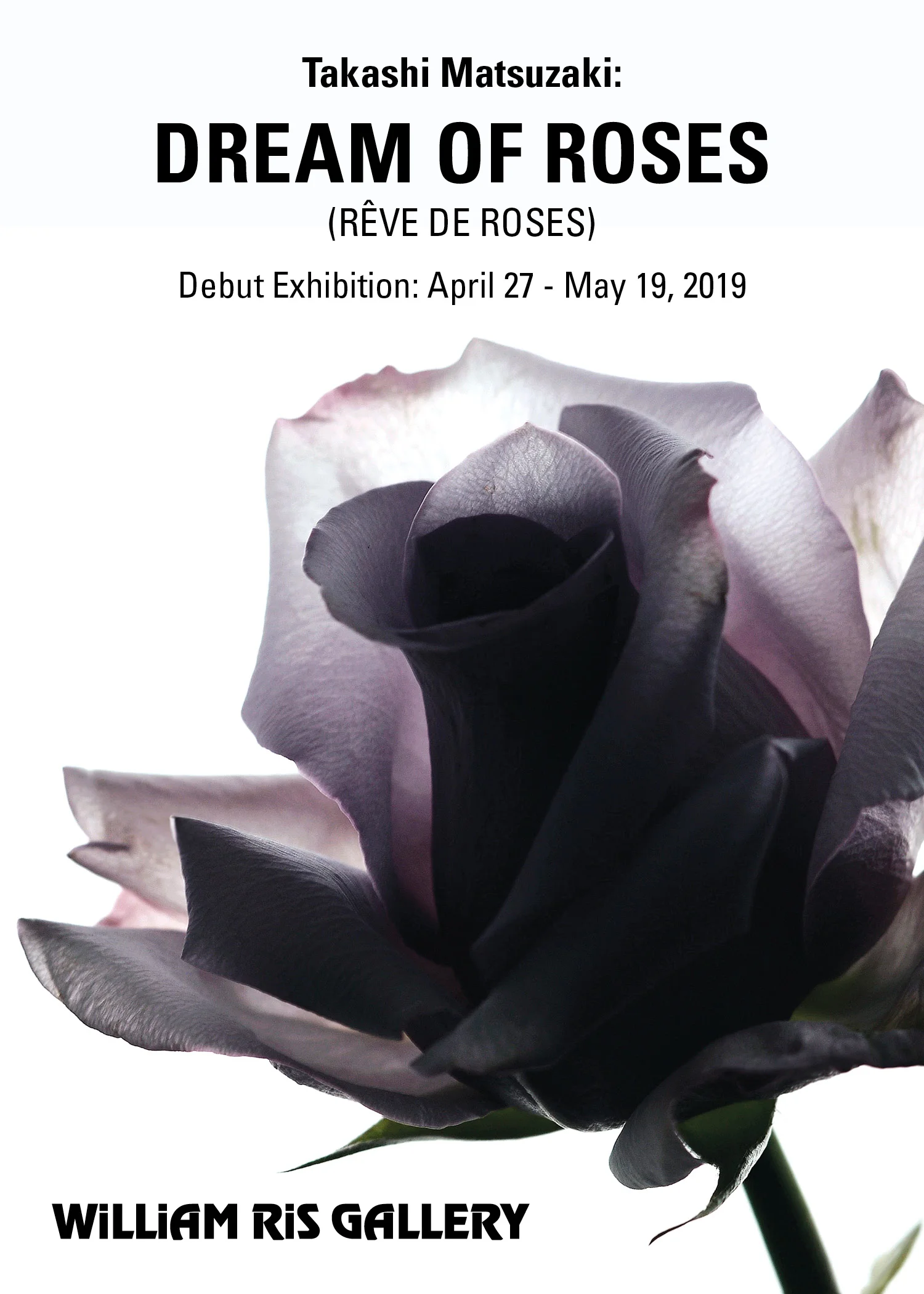 WRG Dream of Roses 5x7.jpg