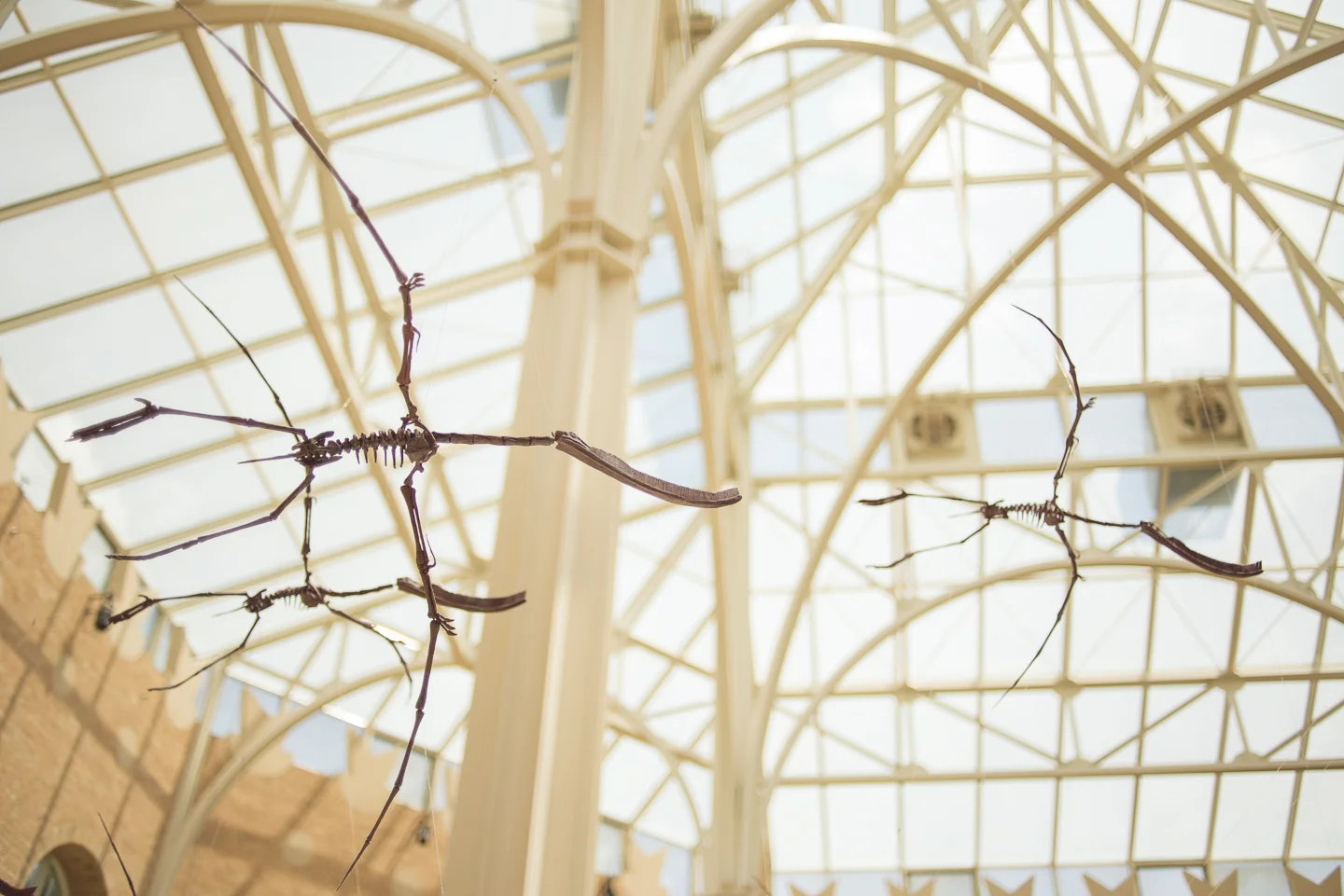 atlanta-ga-fernbank-museum-of-natural-history-travel-photography-0015