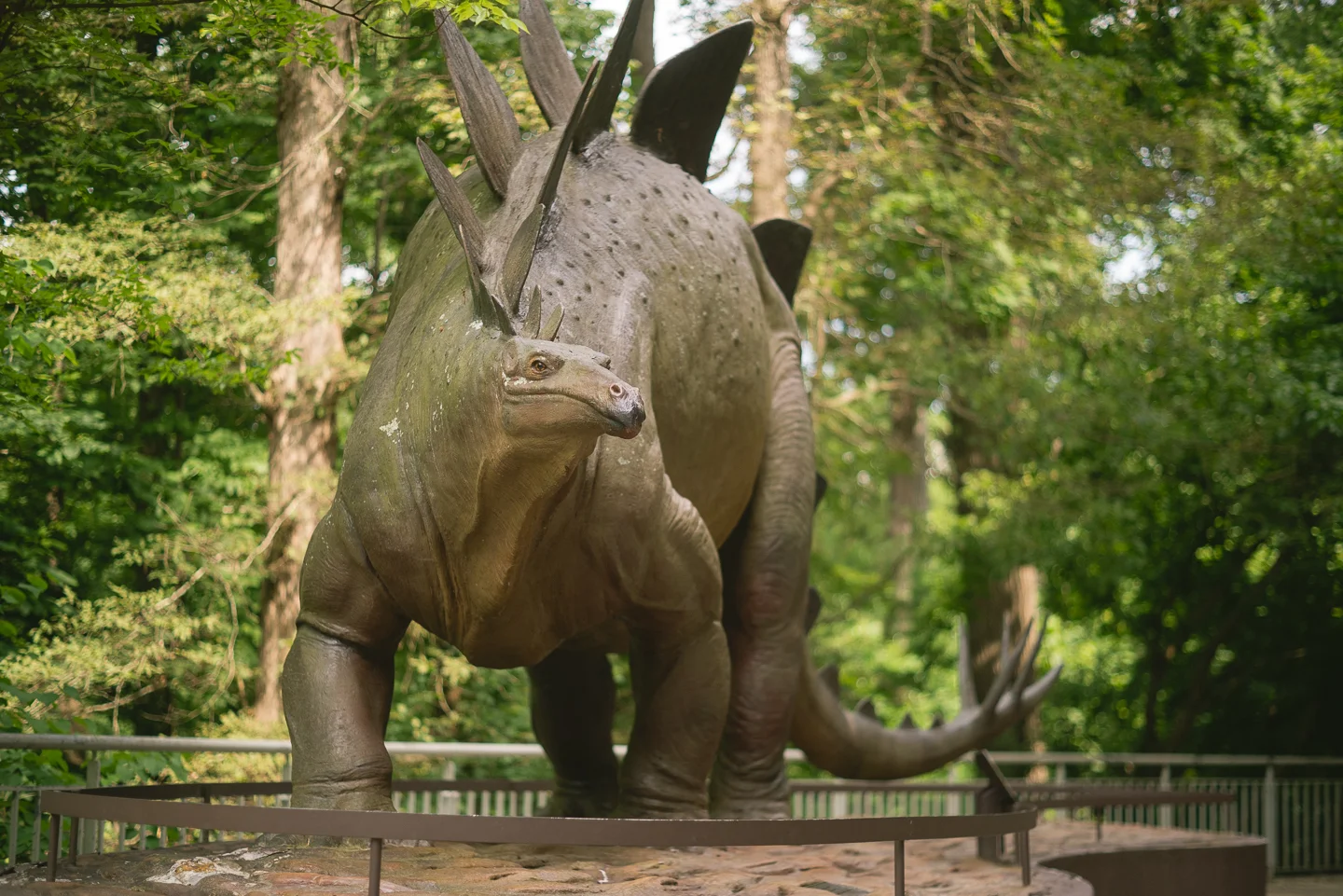 atlanta-ga-fernbank-museum-of-natural-history-travel-photography-free-lensing-0024