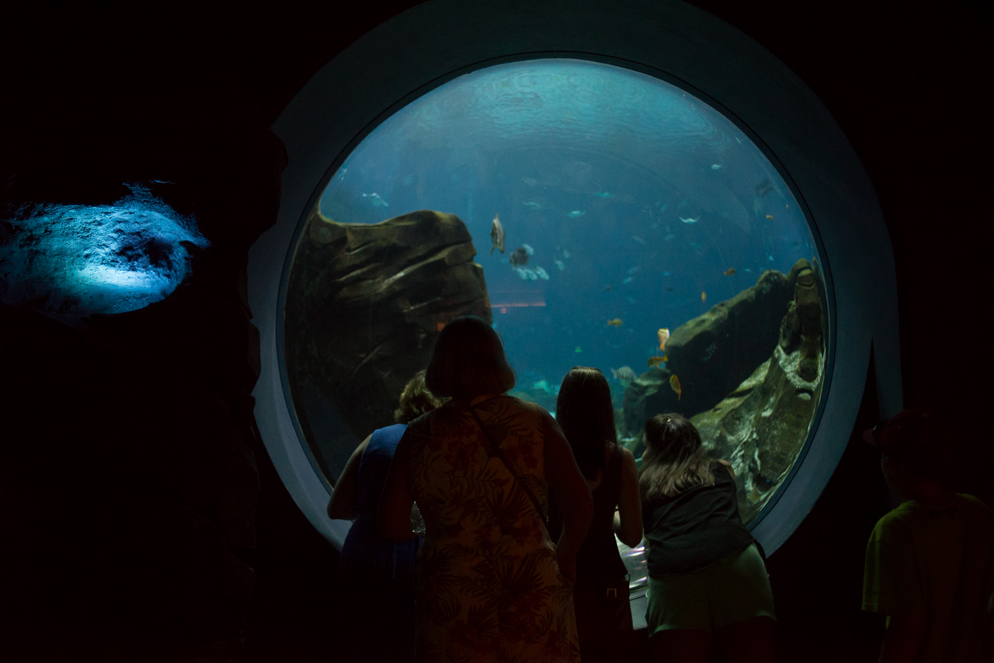 atlanta-trip-georgia-travel-photography-georgia-aquarium-photographer-0025