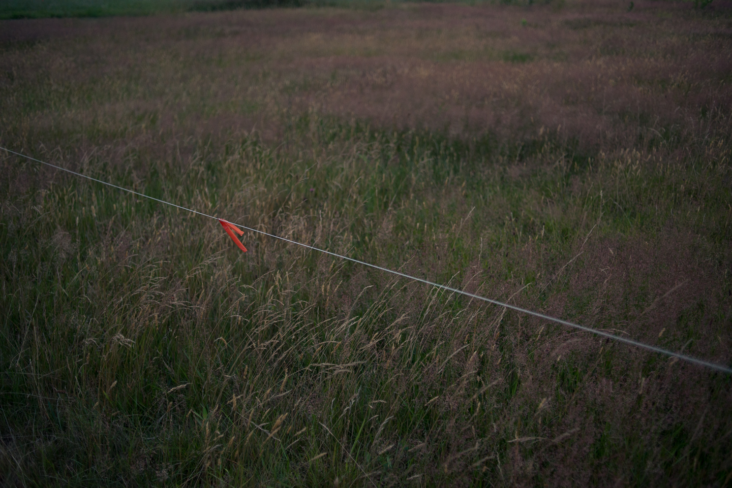 fireflies-caumet-park-long-island-long-exposure-0002