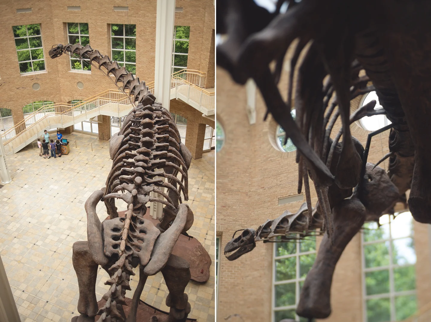 atlanta-ga-fernbank-museum-of-natural-history-travel-photography-lensbaby-edge-80-Collage 1