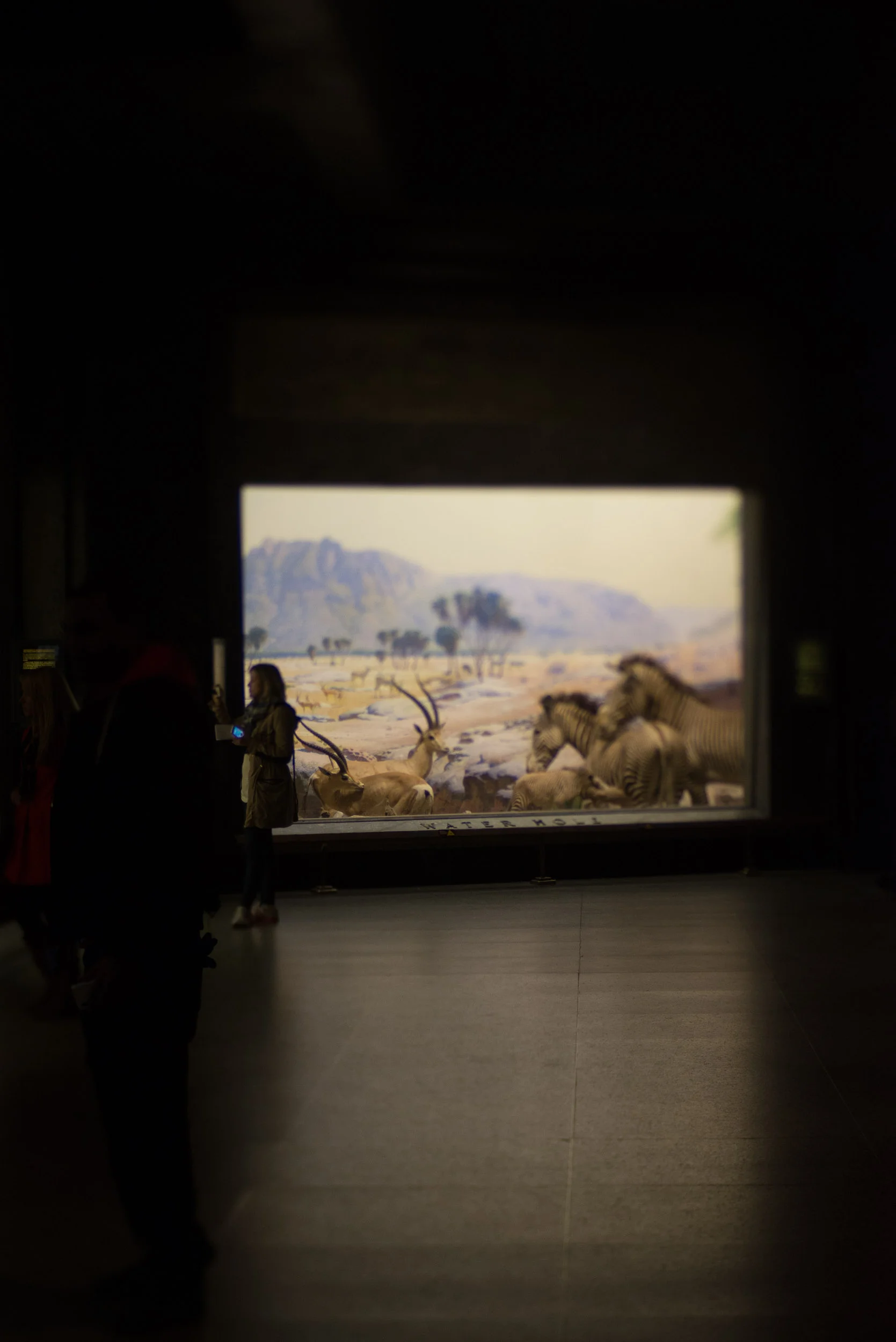 travel-photography-long-island-ny-nyc-museum-of-natural-history-diorama-lensbaby-edge-80-photographer-digital-2.jpg