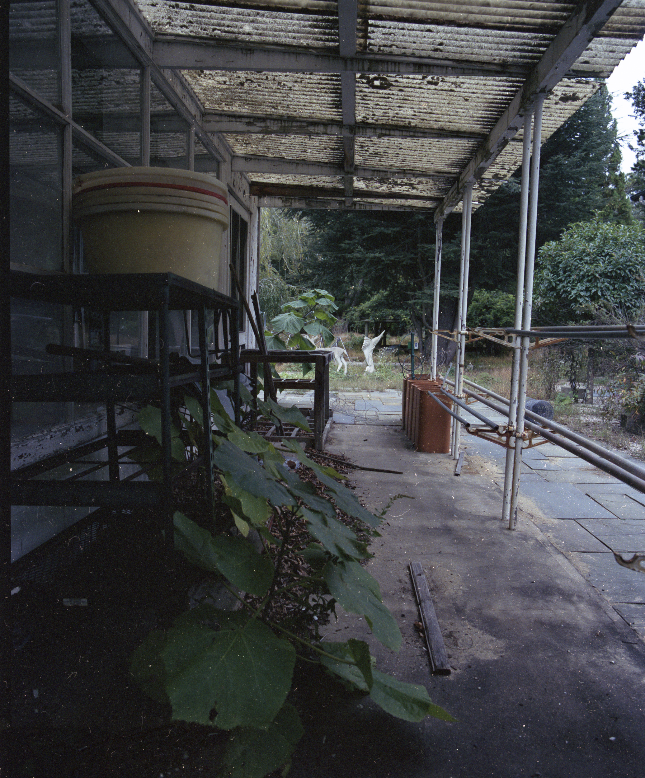 Suburban_decay_exploring_long_island_ny_abandoned_greenhouse-0001.jpg