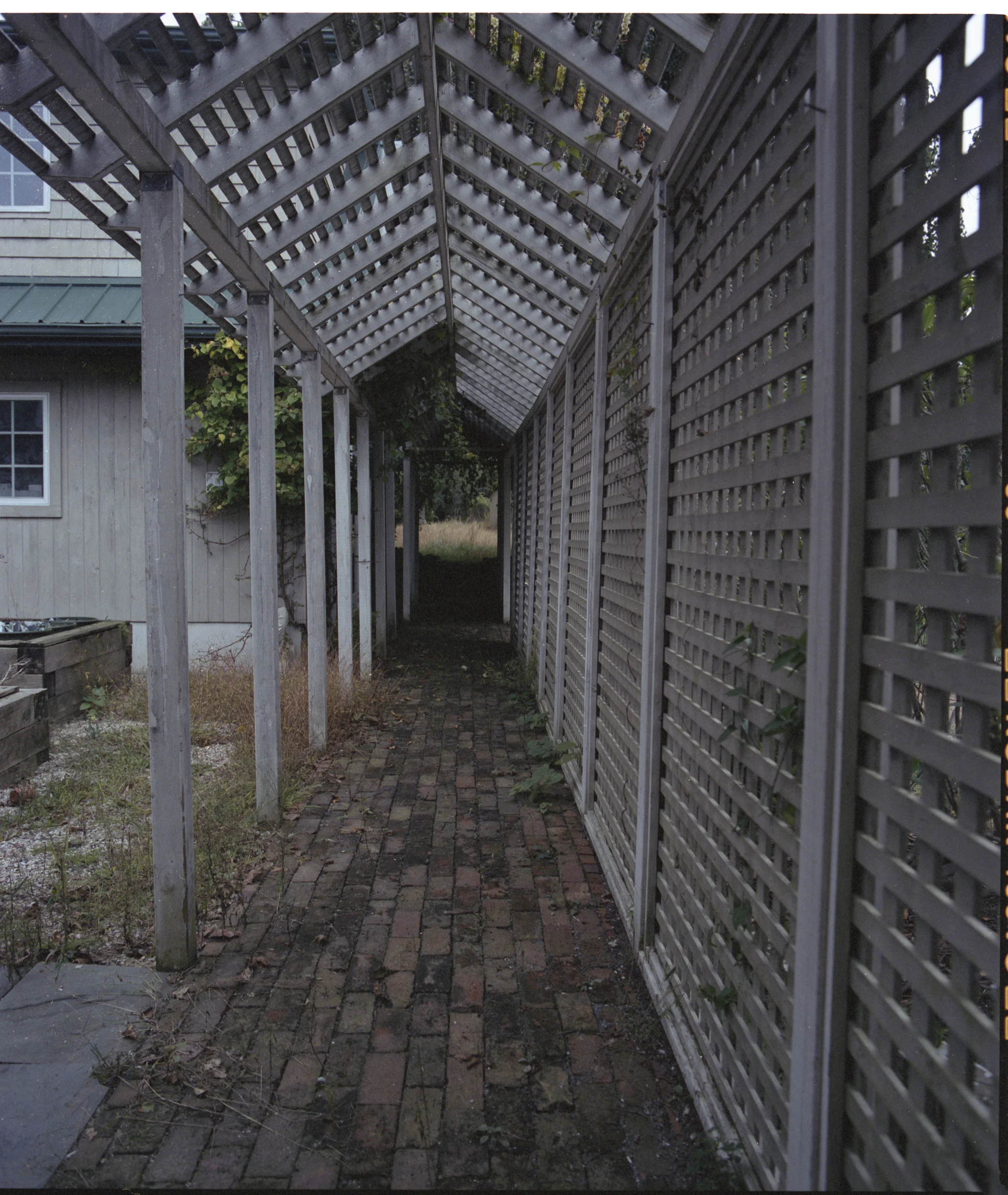 Suburban_decay_exploring_long_island_ny_abandoned_greenhouse-0004.jpg