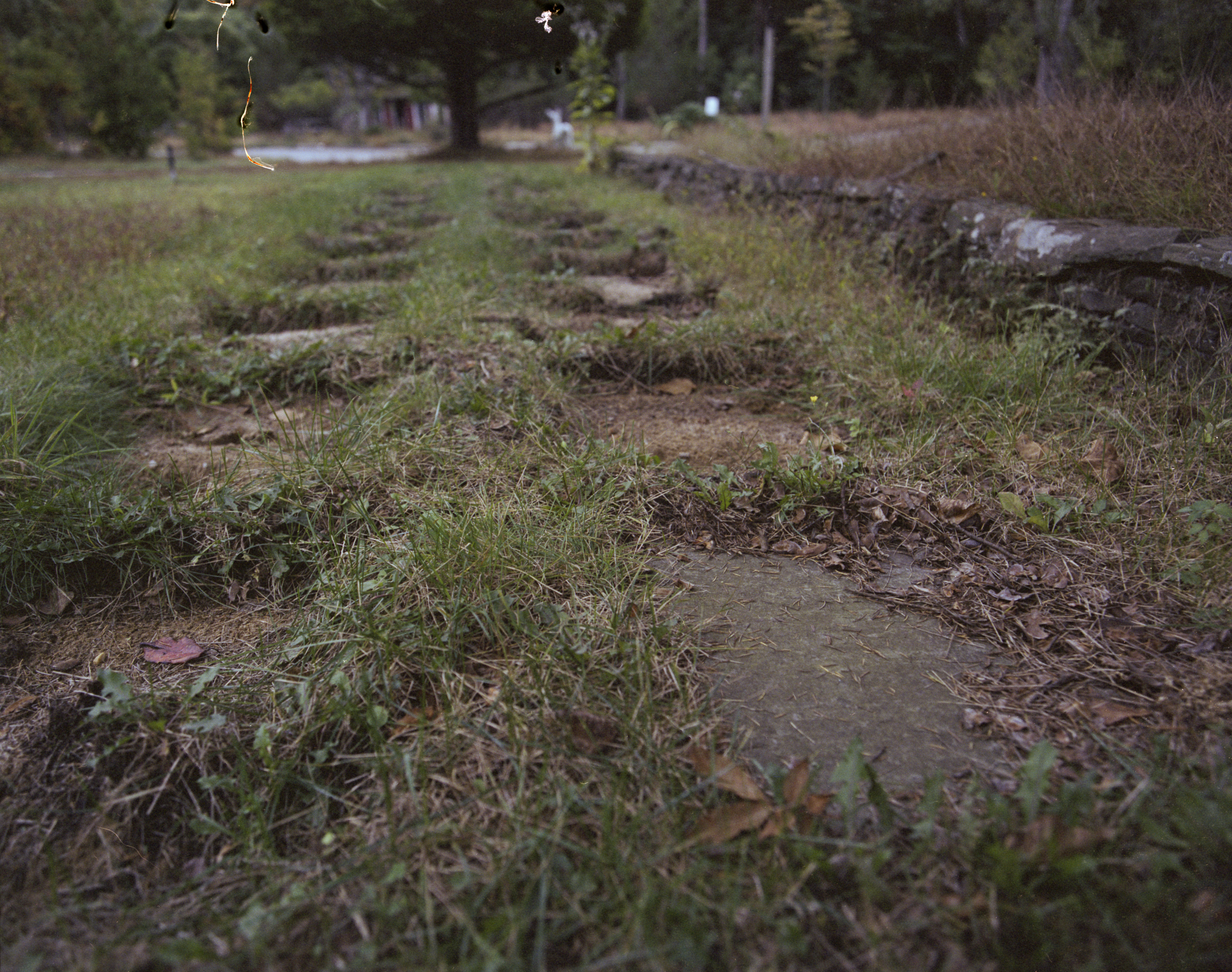 Suburban_decay_exploring_long_island_ny_abandoned_greenhouse-0007.jpg