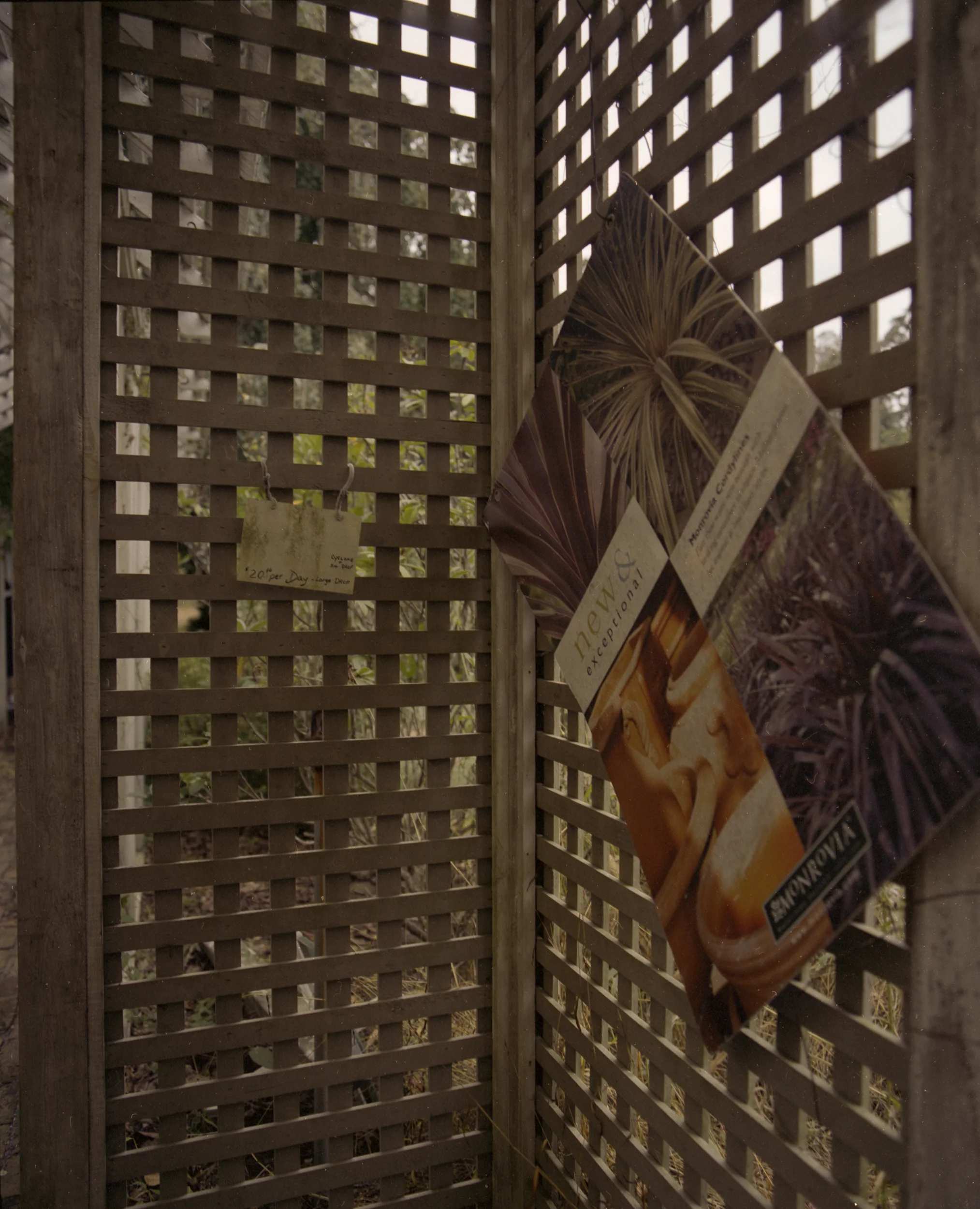 Suburban_decay_exploring_long_island_ny_abandoned_greenhouse-0014.jpg